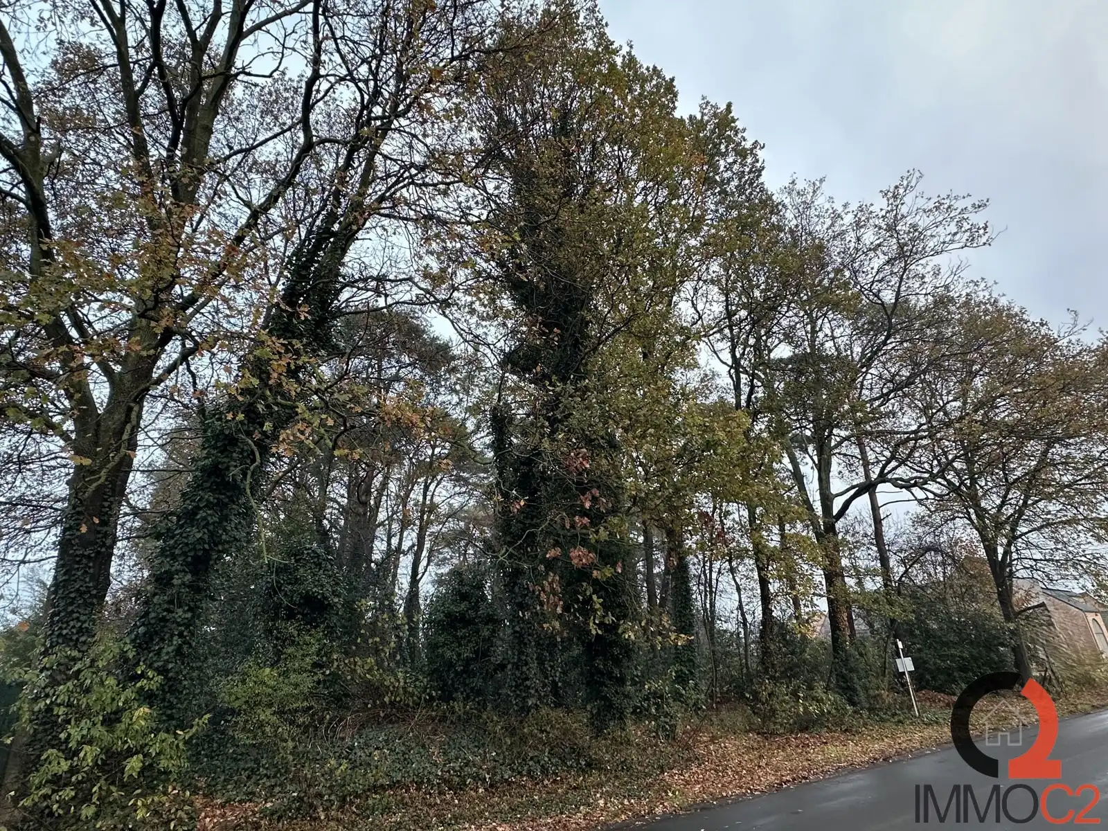 Grond te koop foto 3