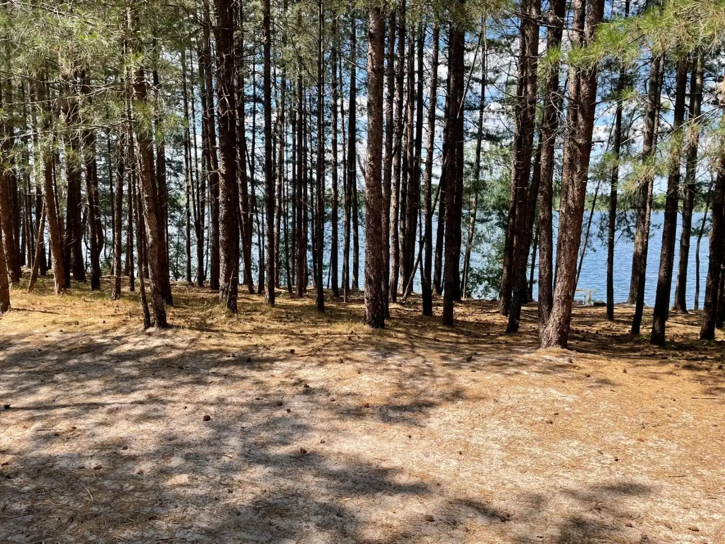 Twee halfopen bebouwingen samen te koop  met uitzicht op natuur en water foto 7