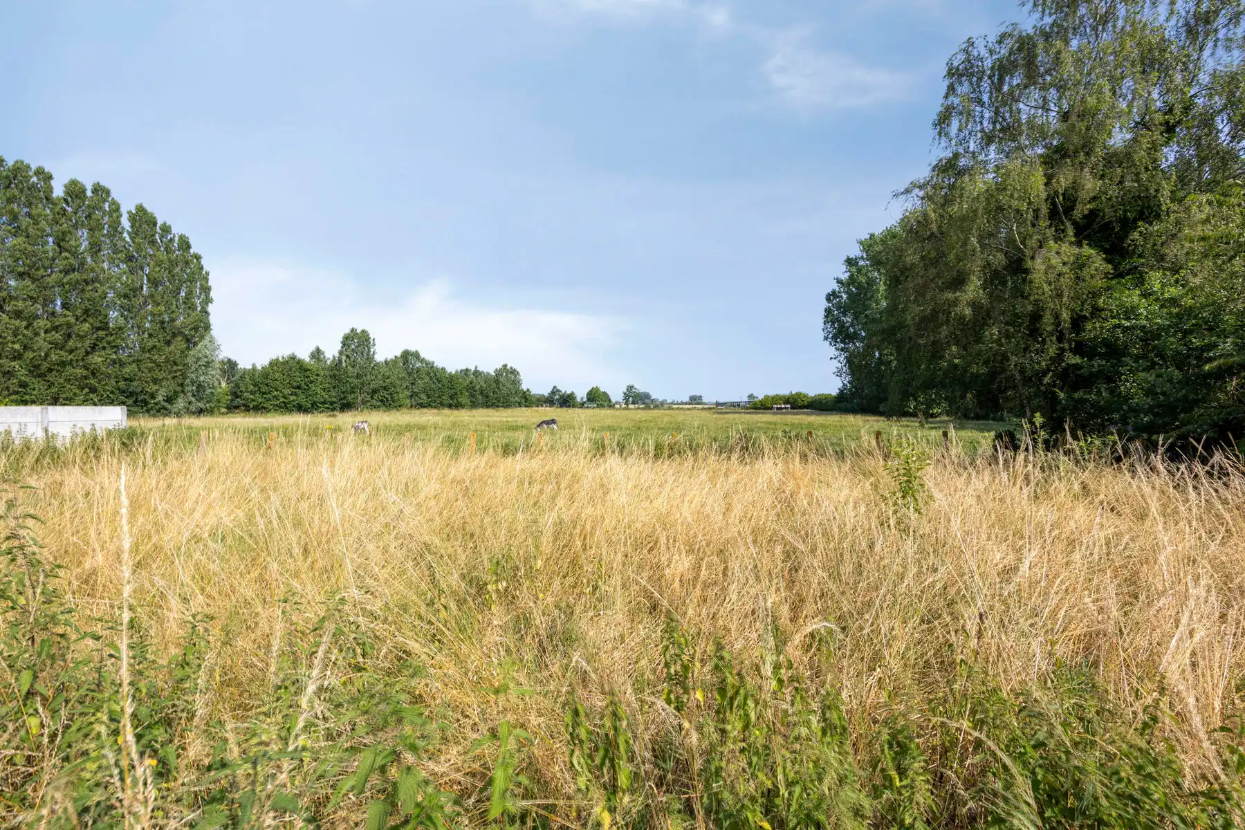 TE KOOP - bungalow met 3 slaapkamers en loods te Lede foto 23