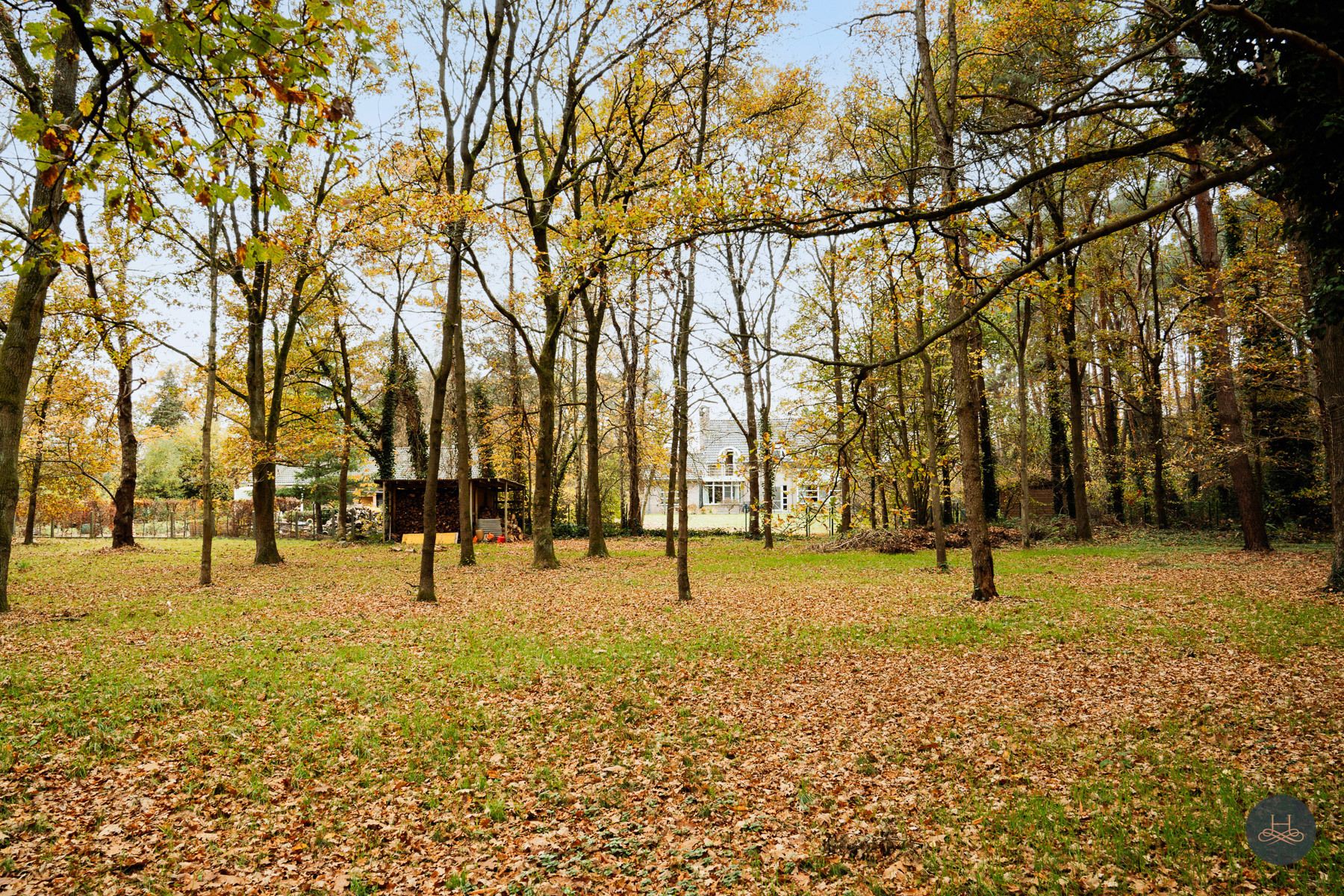 Imposante, zuinige villa in het groen met een open zicht  foto 7