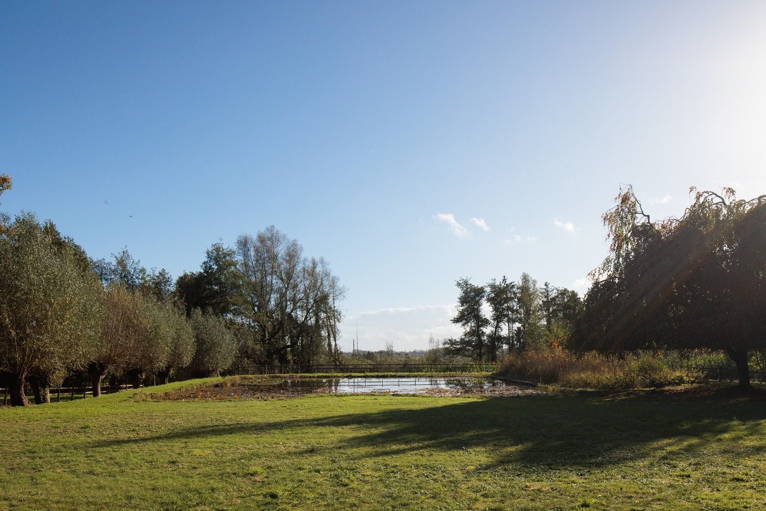 Uitzonderlijk domein met prachtige zichten foto 3