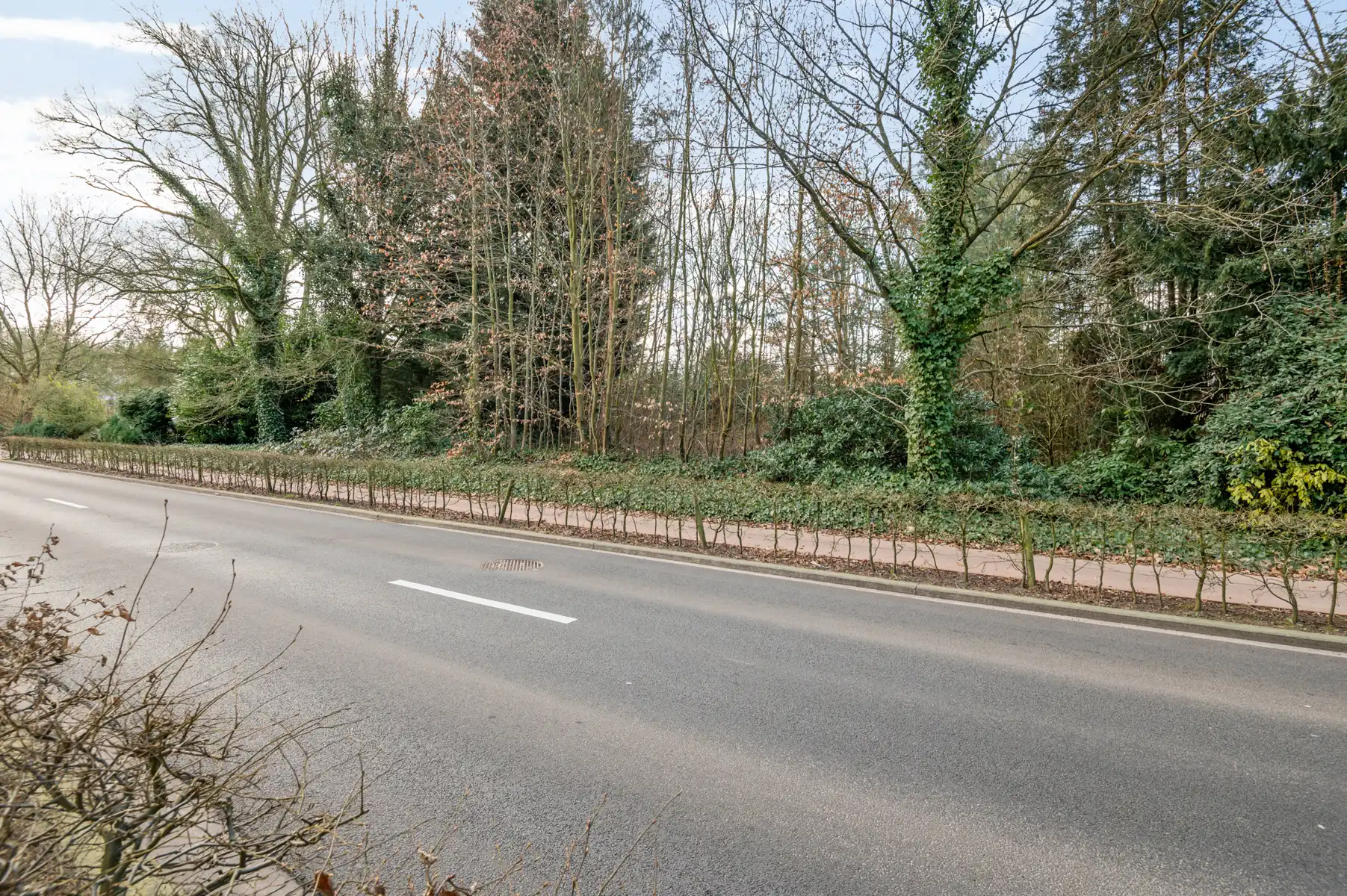Bouw jouw droomvilla op 1.237m² in Europawijk Mol foto 4