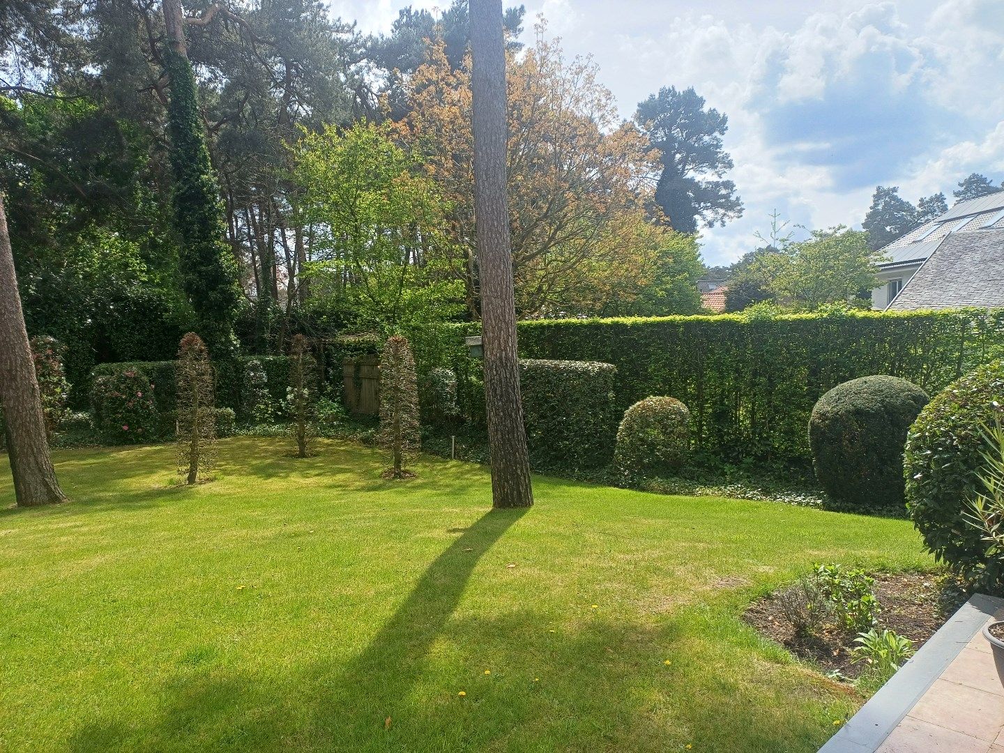 IN OPTIE Instapklare woning op een zeer rustige locatie in het groen met 3 slaapkamers. foto 24