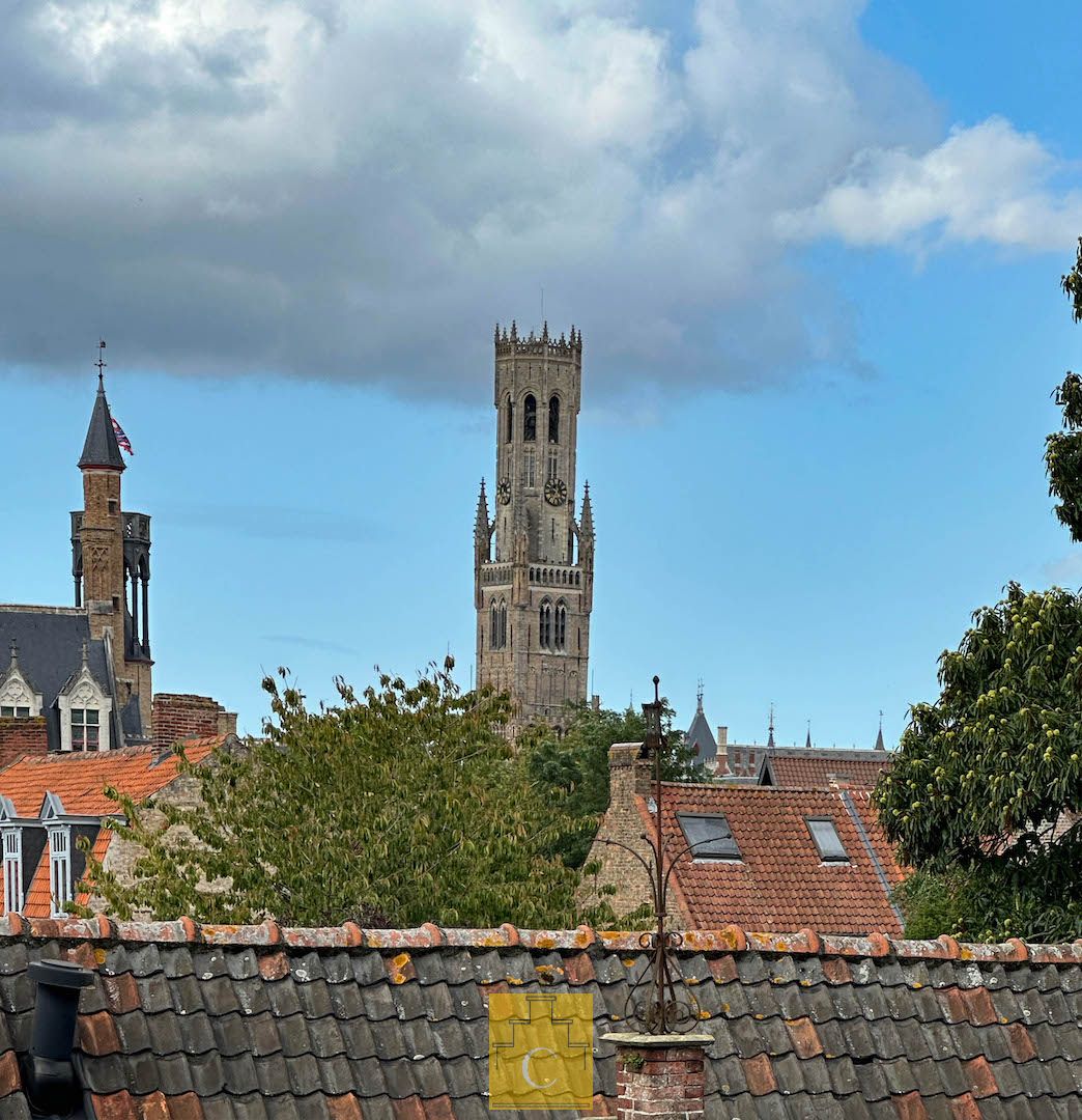 stijlvol en verrassend ruim burgerhuis met stadstuin, centrale ligging nabij Ankerplaats-Katelijnestraat foto 27