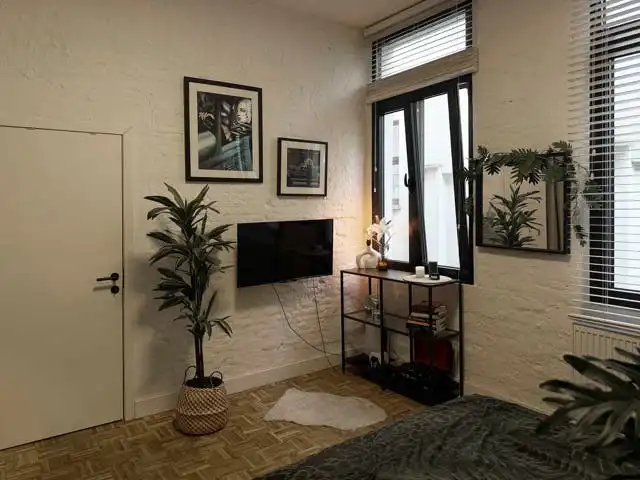 Triplex loft-appartement te koop in centrum Antwerpen foto 13