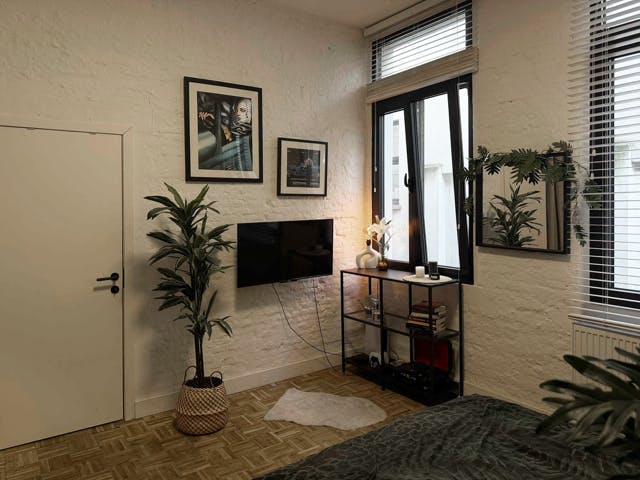 Triplex loft-appartement te koop in centrum Antwerpen foto 13