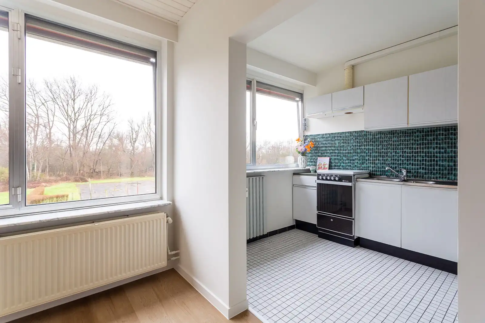 Appartement met 2 slpk., garage en rustgevend groen uitzicht foto 8