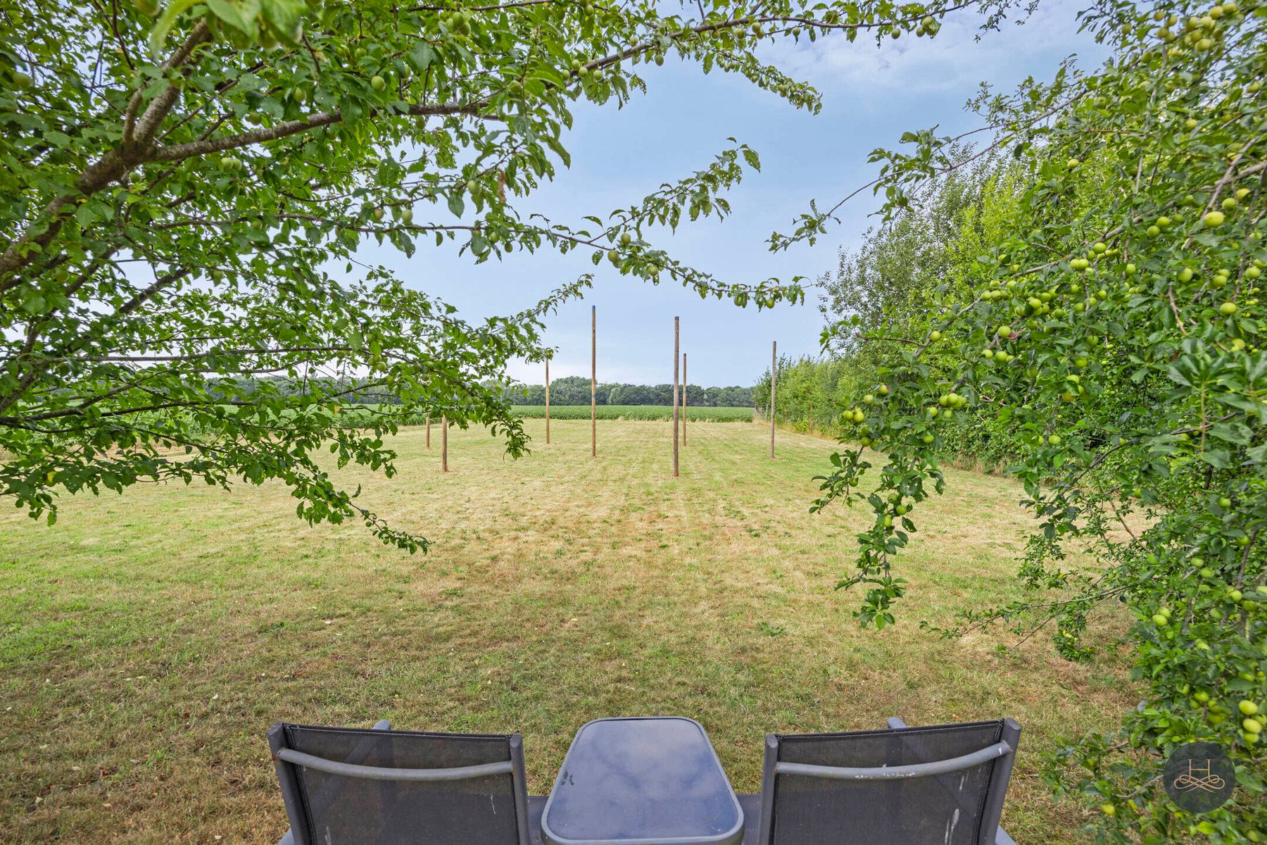 Huis te huur foto 4