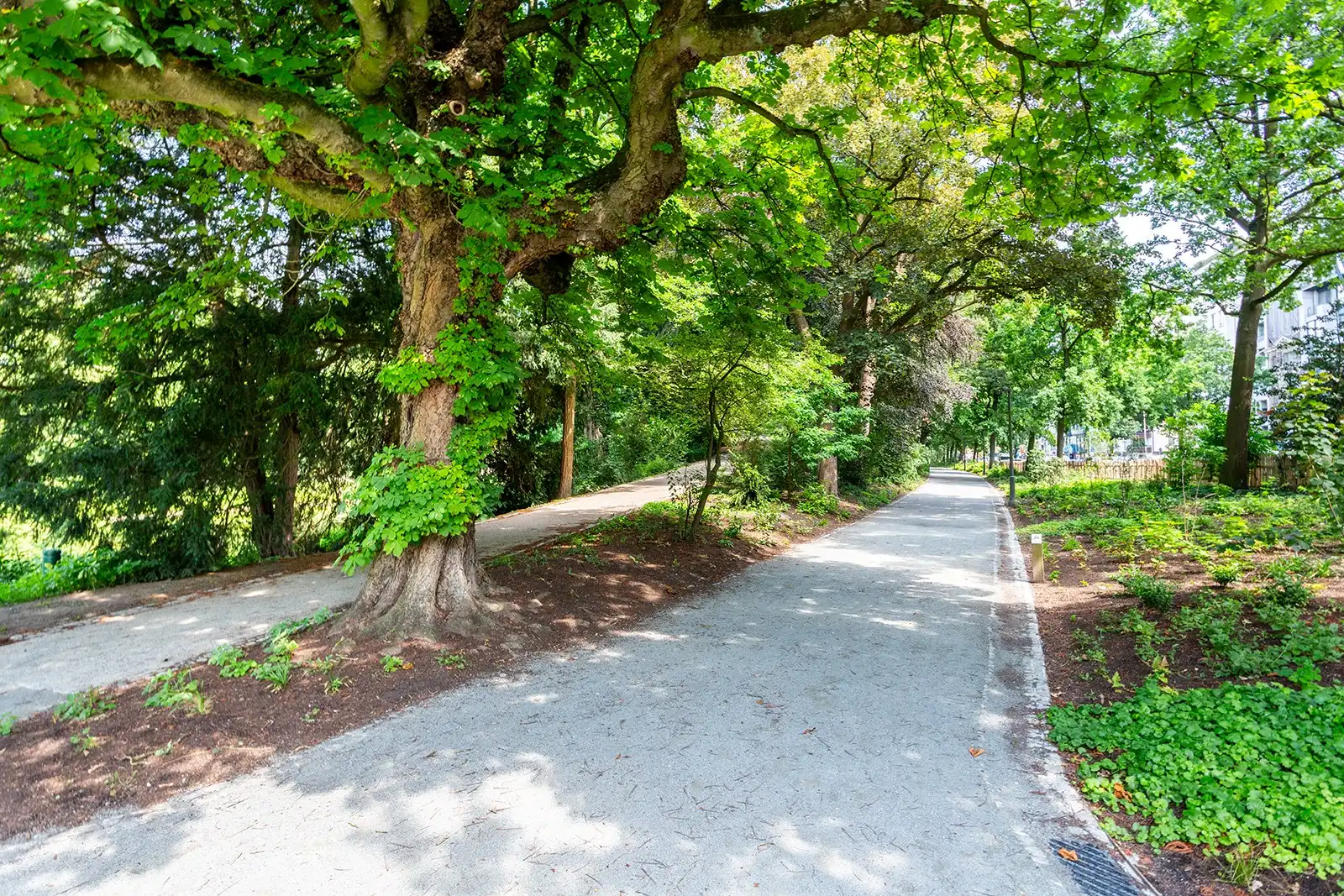 Lichtrijk wonen op een steenworp van het Stadspark foto 18