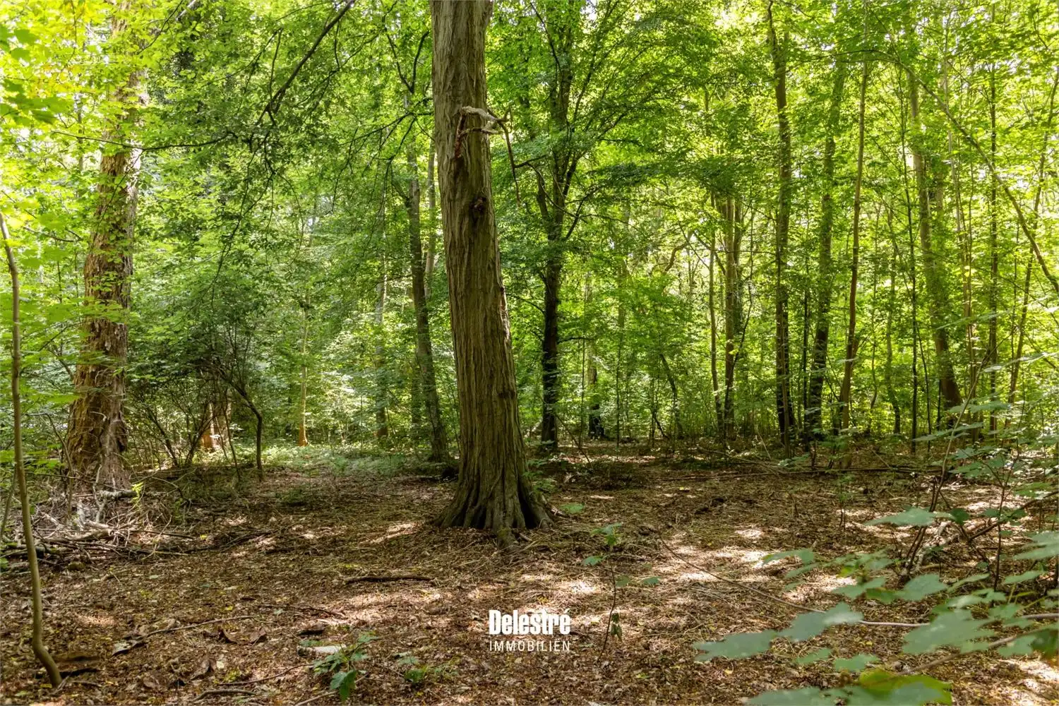 Unieke bouwgrond van 78a 71ca te koop – residentieel & groen gelegen in Bois de Strihoux foto 3