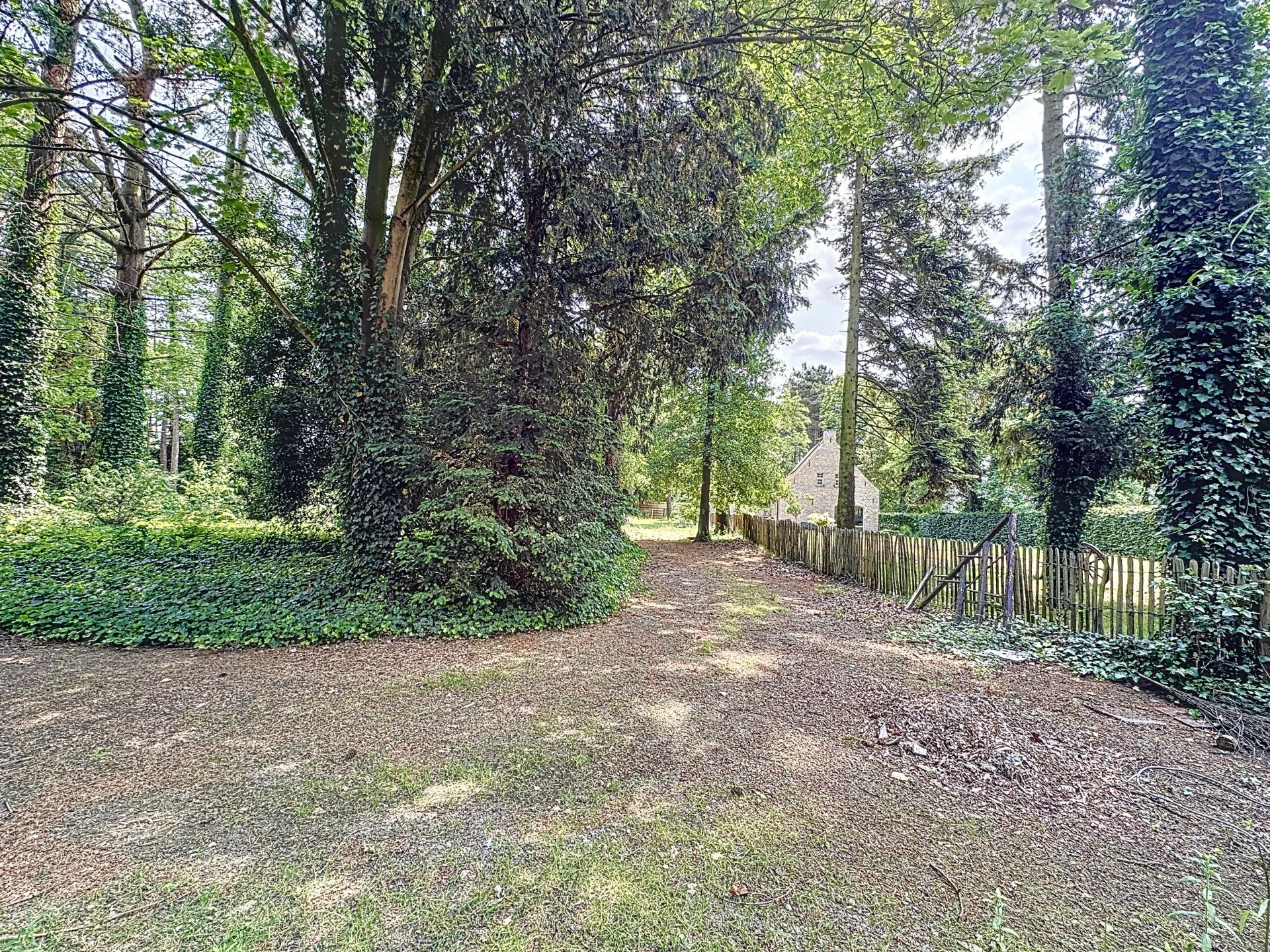 Prachtige villa met 3 slaapkamers op een perceel van +/- 60 are. foto 36