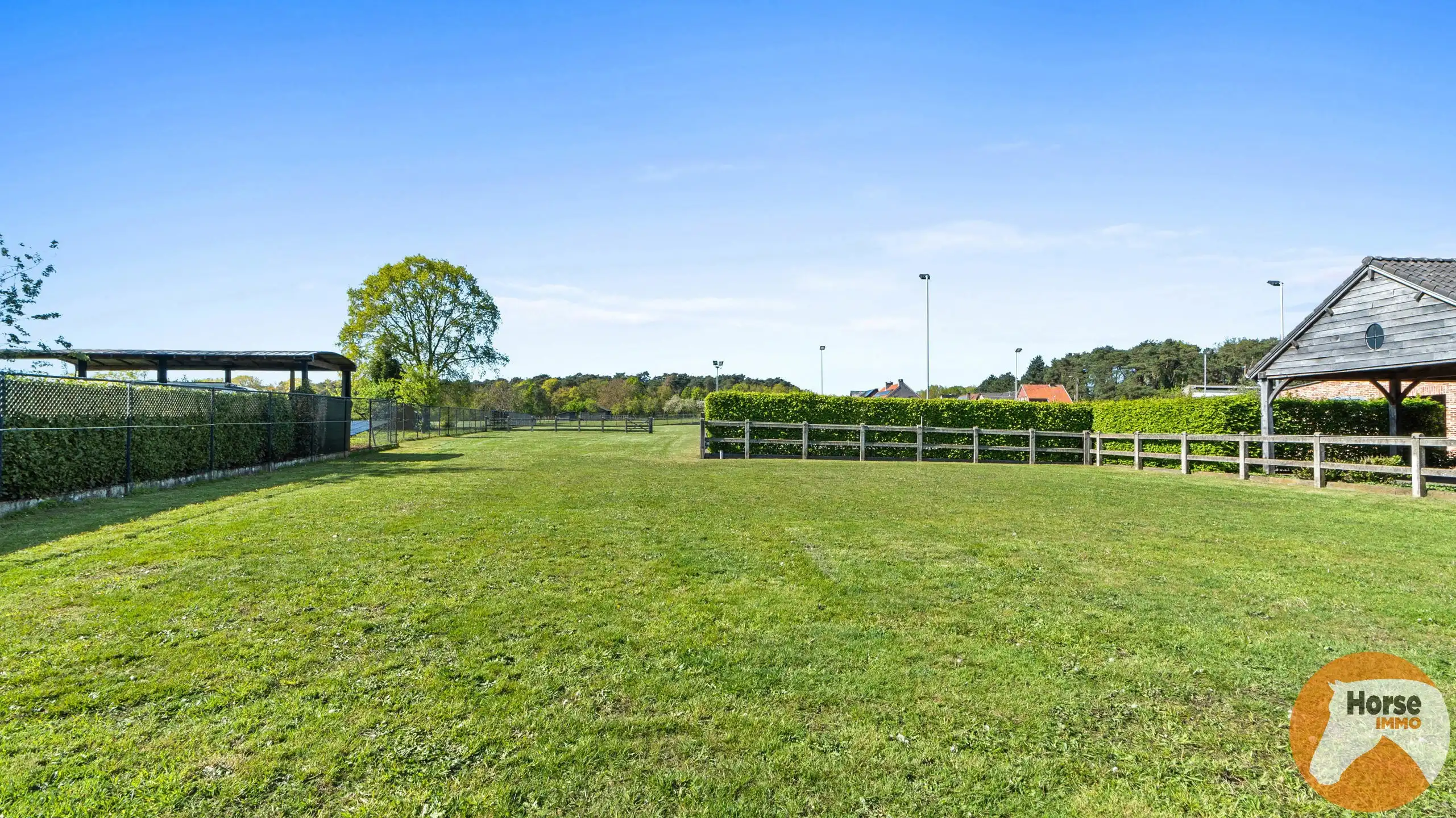 HEUSDEN-ZOLDER - Hoeve met paardenaccommodatie foto 19