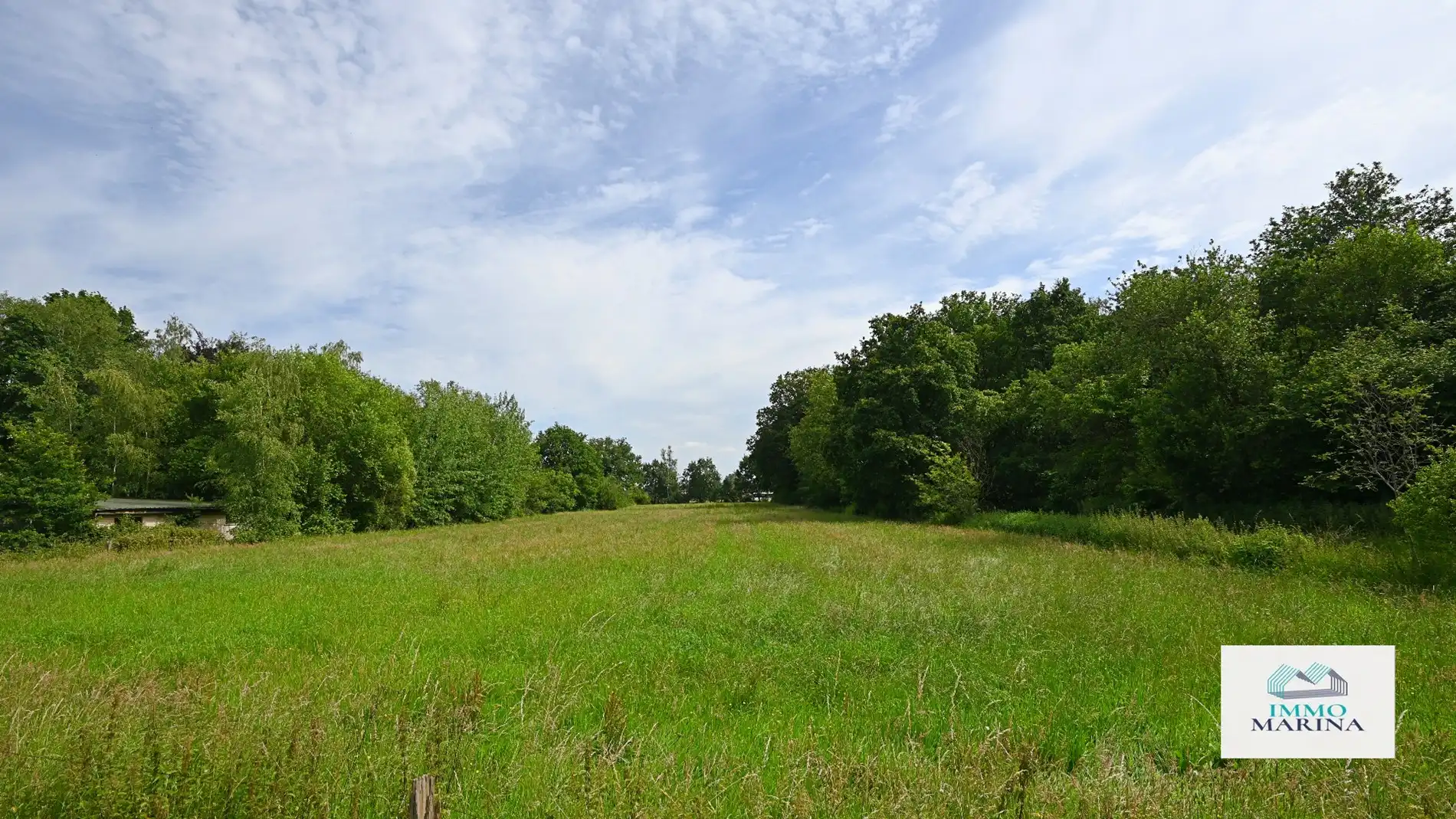 Landbouwgrond / paardenweide te koop te Baal foto 4