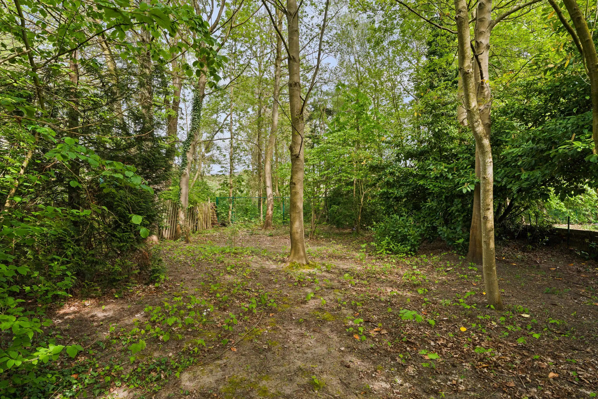 Karaktervolle totaalrenovatie, EPC-A & tuin van 800 m² foto 26