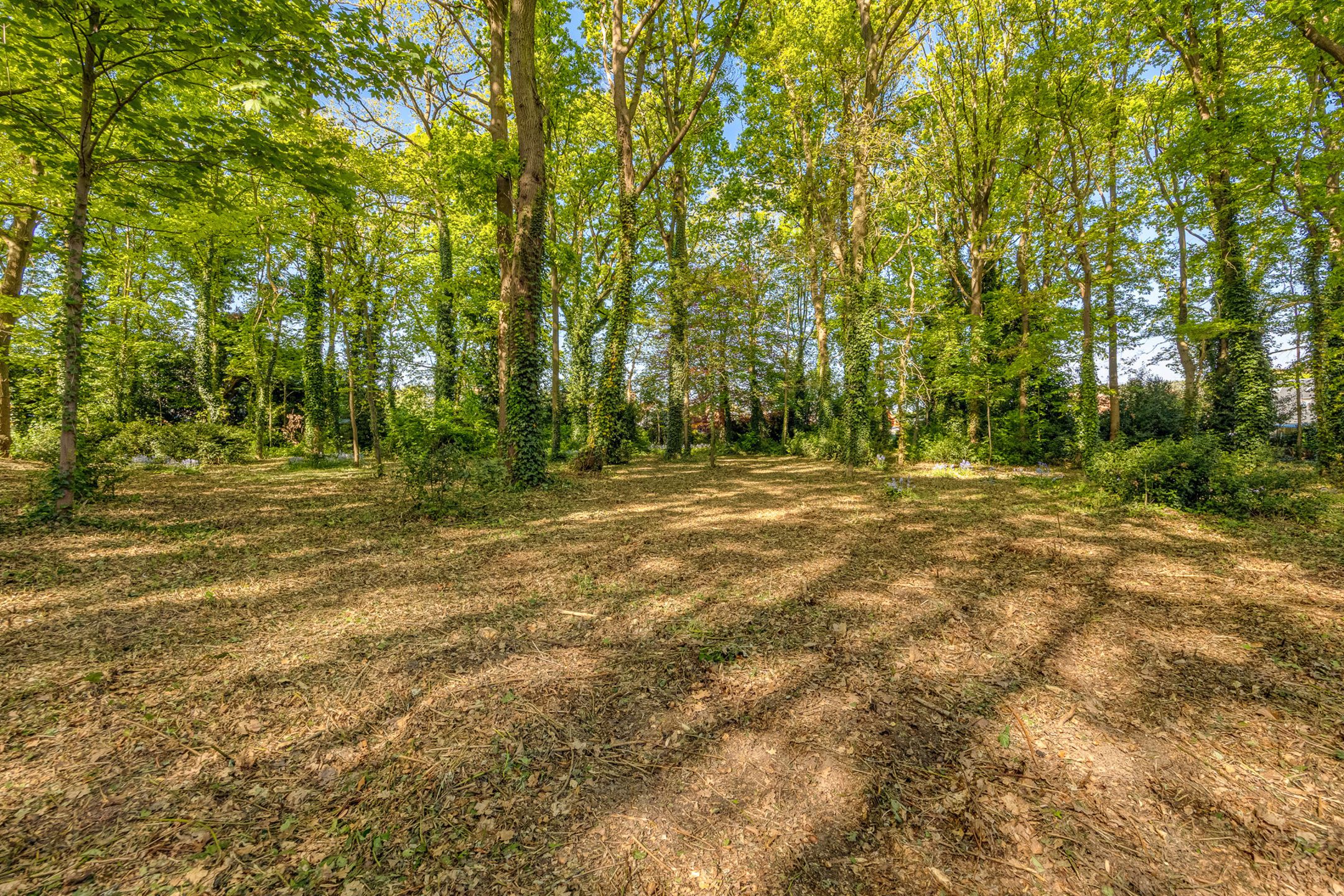 Exclusieve villa in een groene oase van 82 are foto 25
