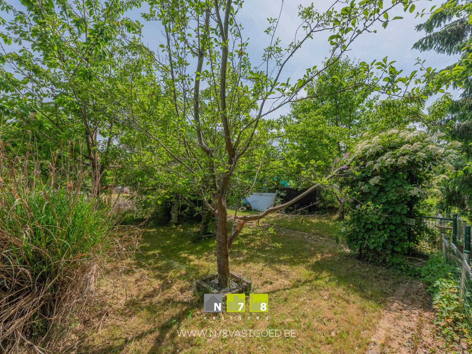 Huis te koop foto 29