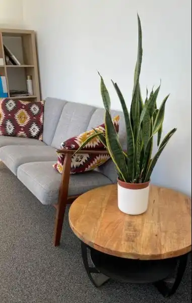 Louizalaan 251, 1050 Elsene foto {{pictureIndex}}