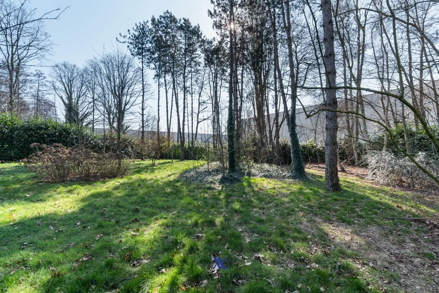 Ruim perceel van ca. 2.509 m² met mogelijkheden foto 6