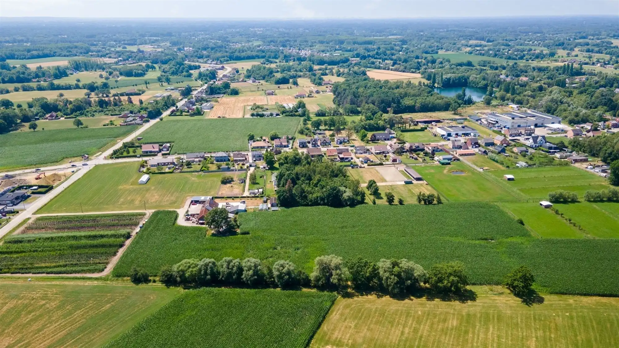 Mooi perceel landbouwgrond van 7.043 m² te Schriek foto 3