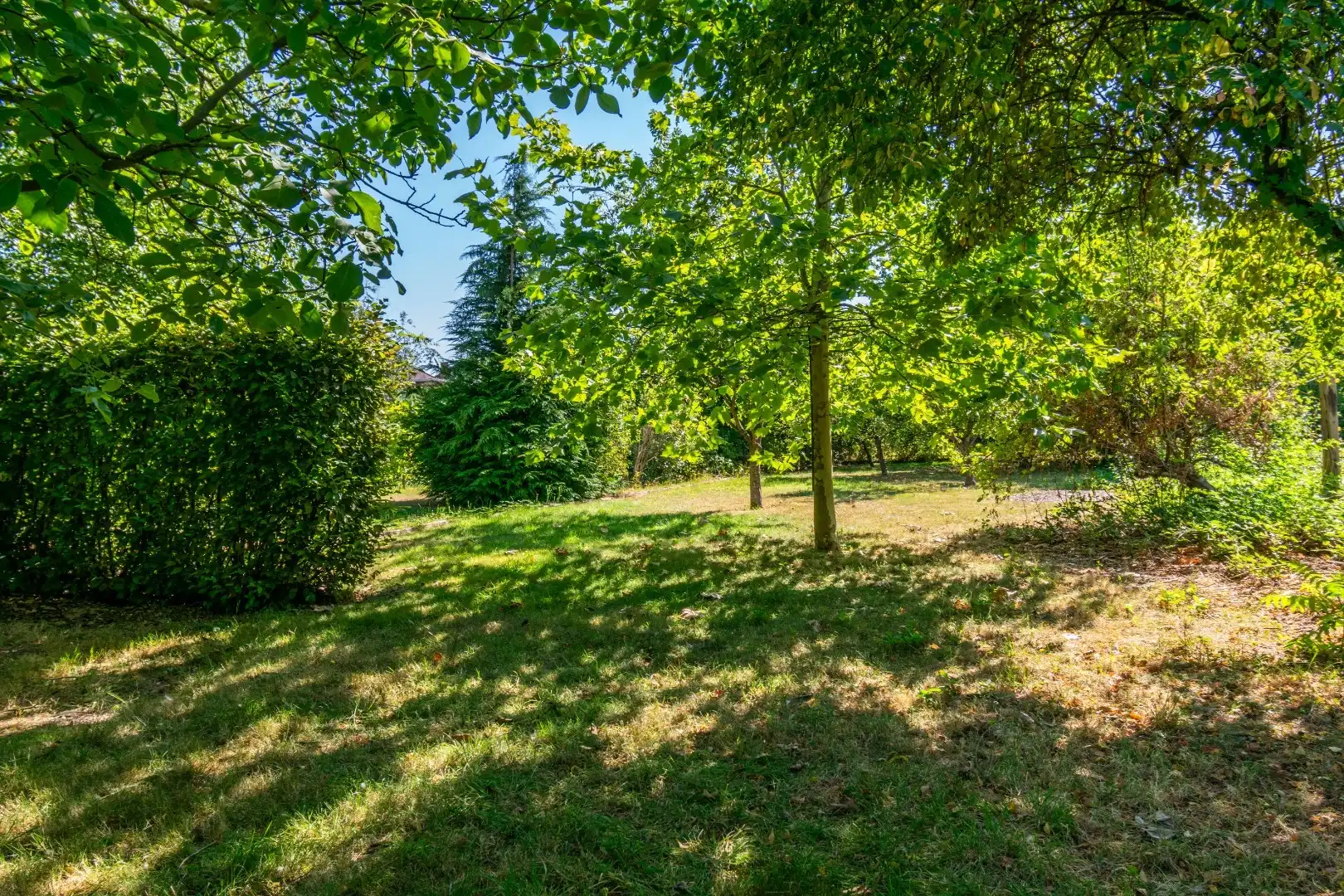 ENERGIEZUINGE DRIEGEVEL VILLA MET ZUID-TUIN OP 12 ARE ! foto 19