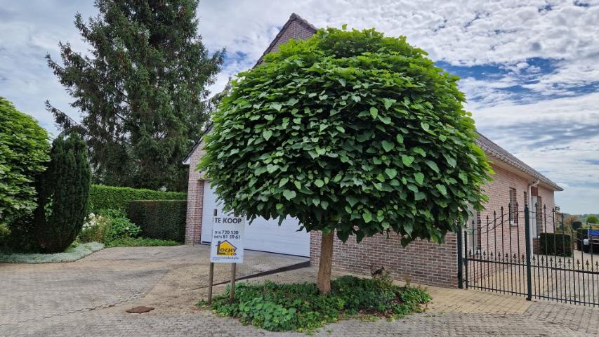 Perfect onderhouden VILLA, open bebouwing op 10 are 95 ca. foto 61