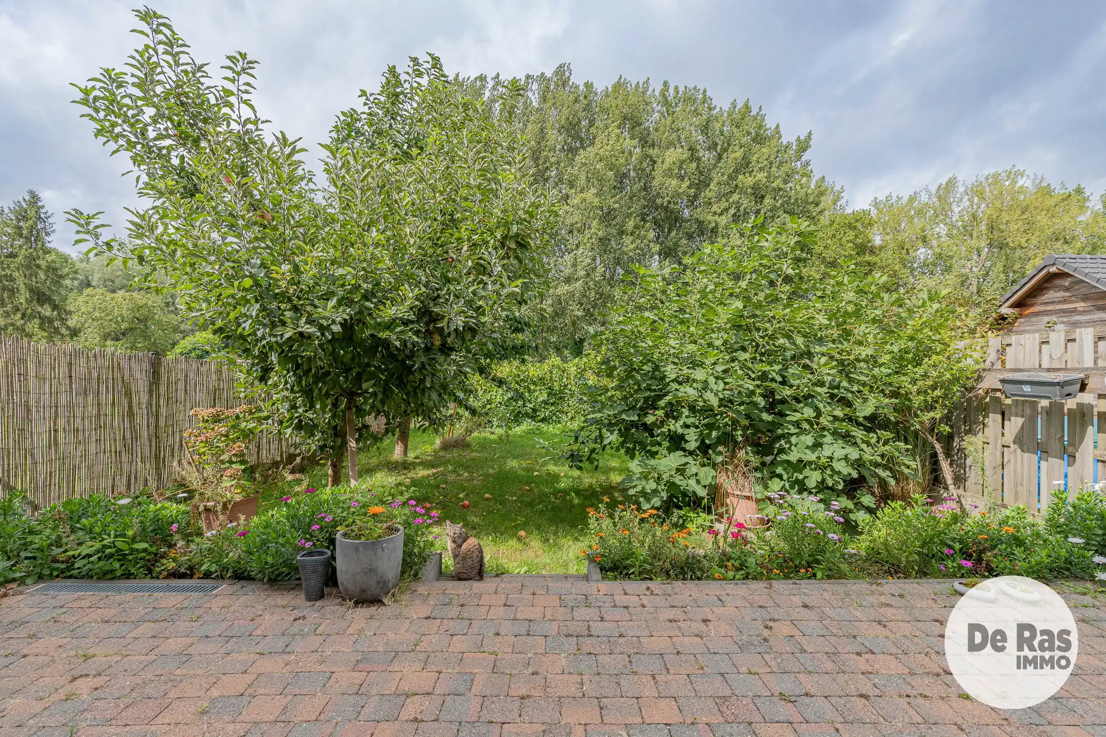 ERPE-MERE - Recente woning op uitstekende locatie foto 24