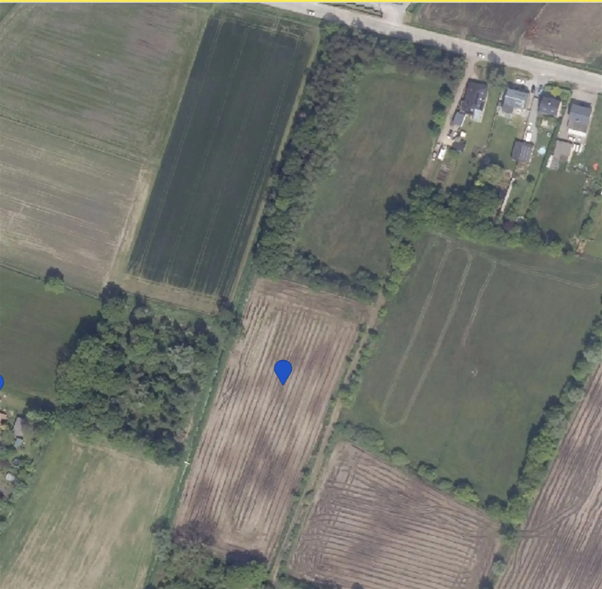 Landbouwgrond te koop in Schriek! foto 6