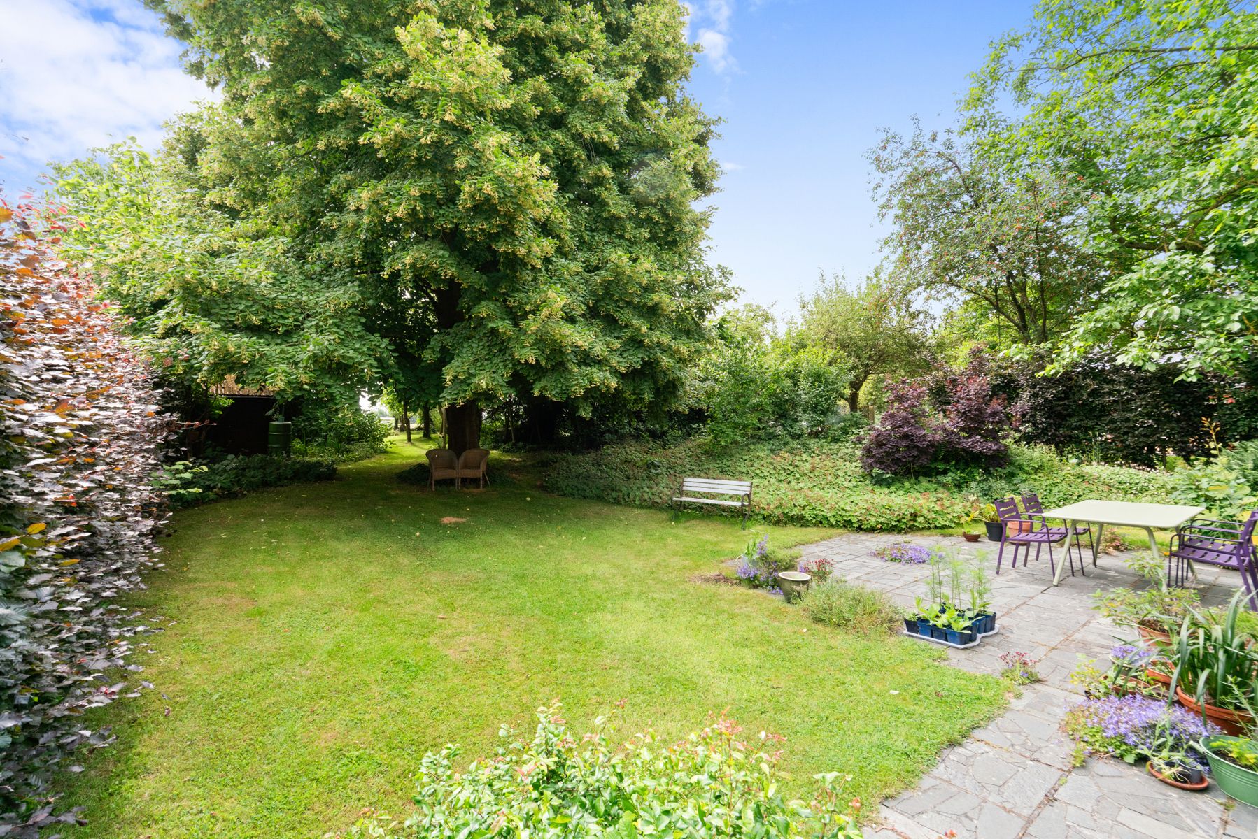 Open bebouwing met 5 slaapkamers en prachtige tuin  foto 16