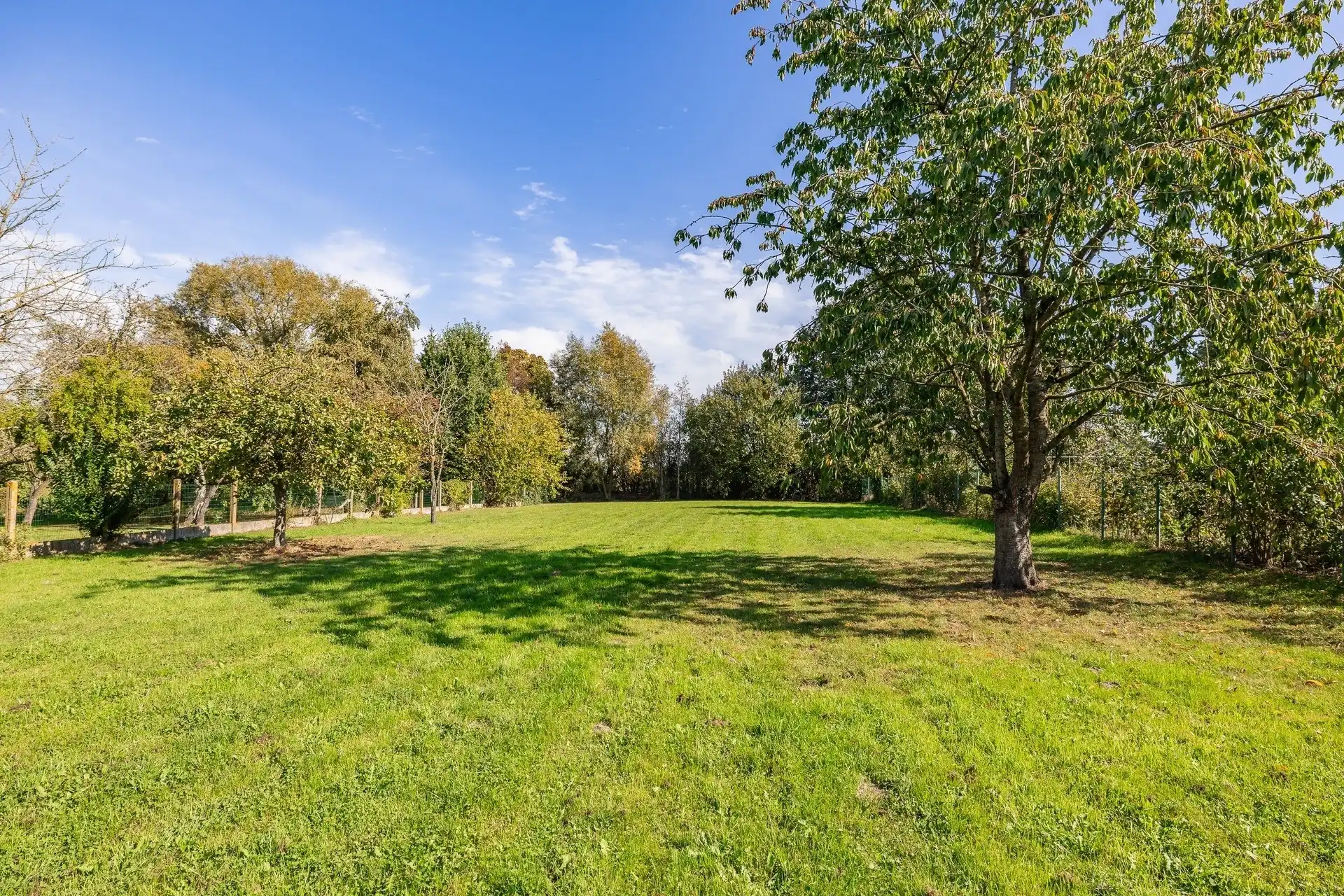 Karaktervolle architectenwoning op een perceel van ruim 25 are met diepe, oostgerichte tuin foto 7