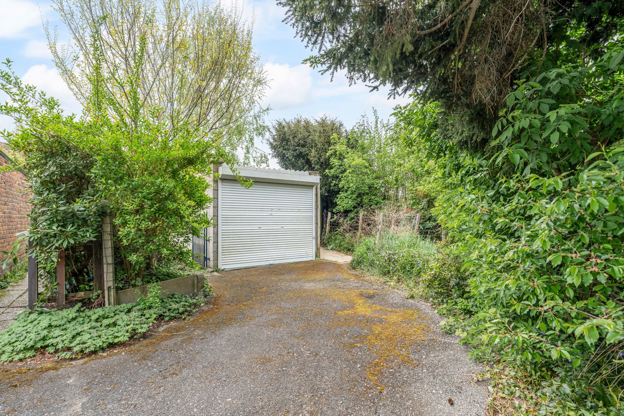 Totaal te renoveren rijwoning voor € 340.000 foto 12