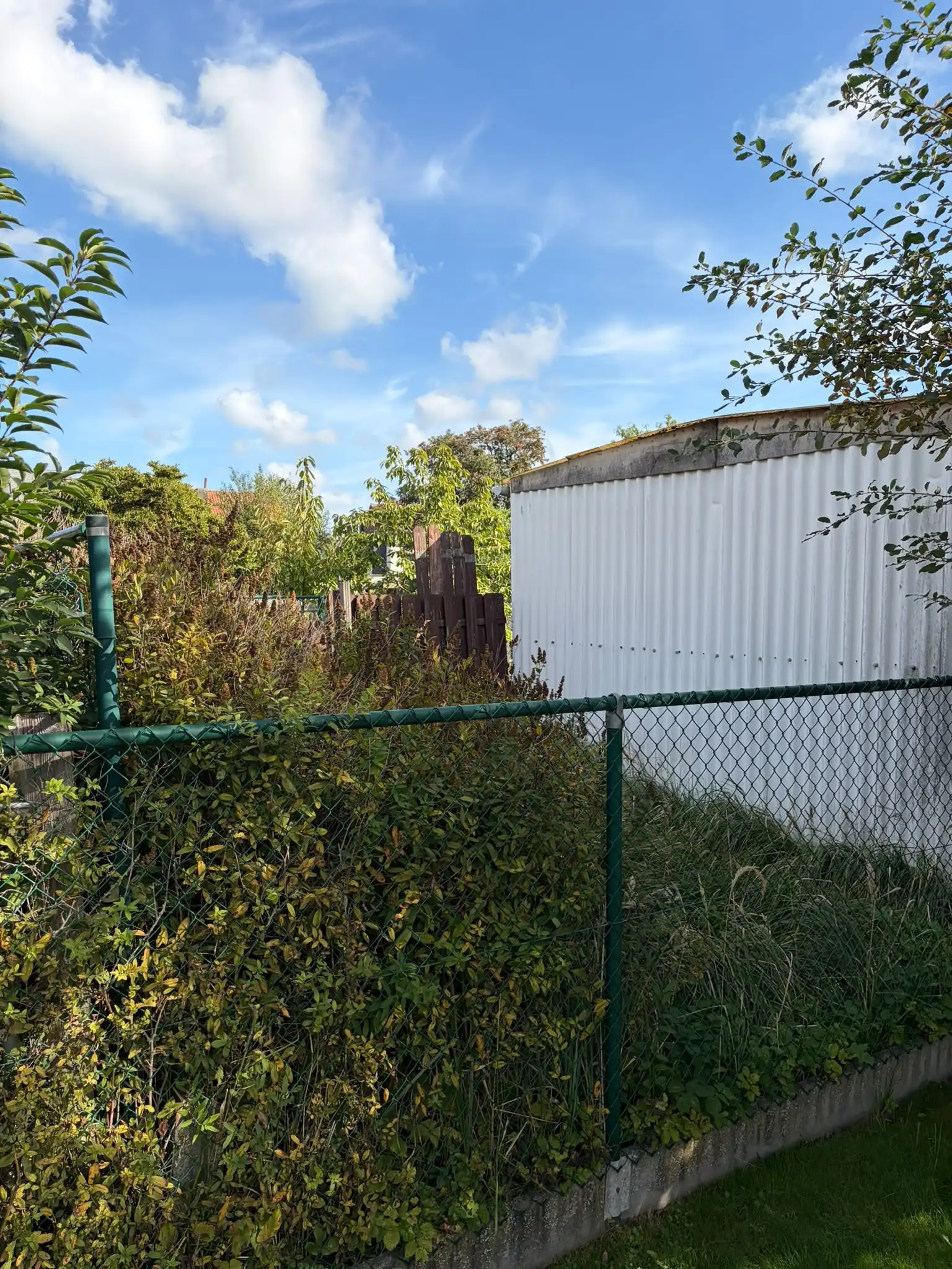 Centraal gelegen garage/magazijn in Willebroek foto 7
