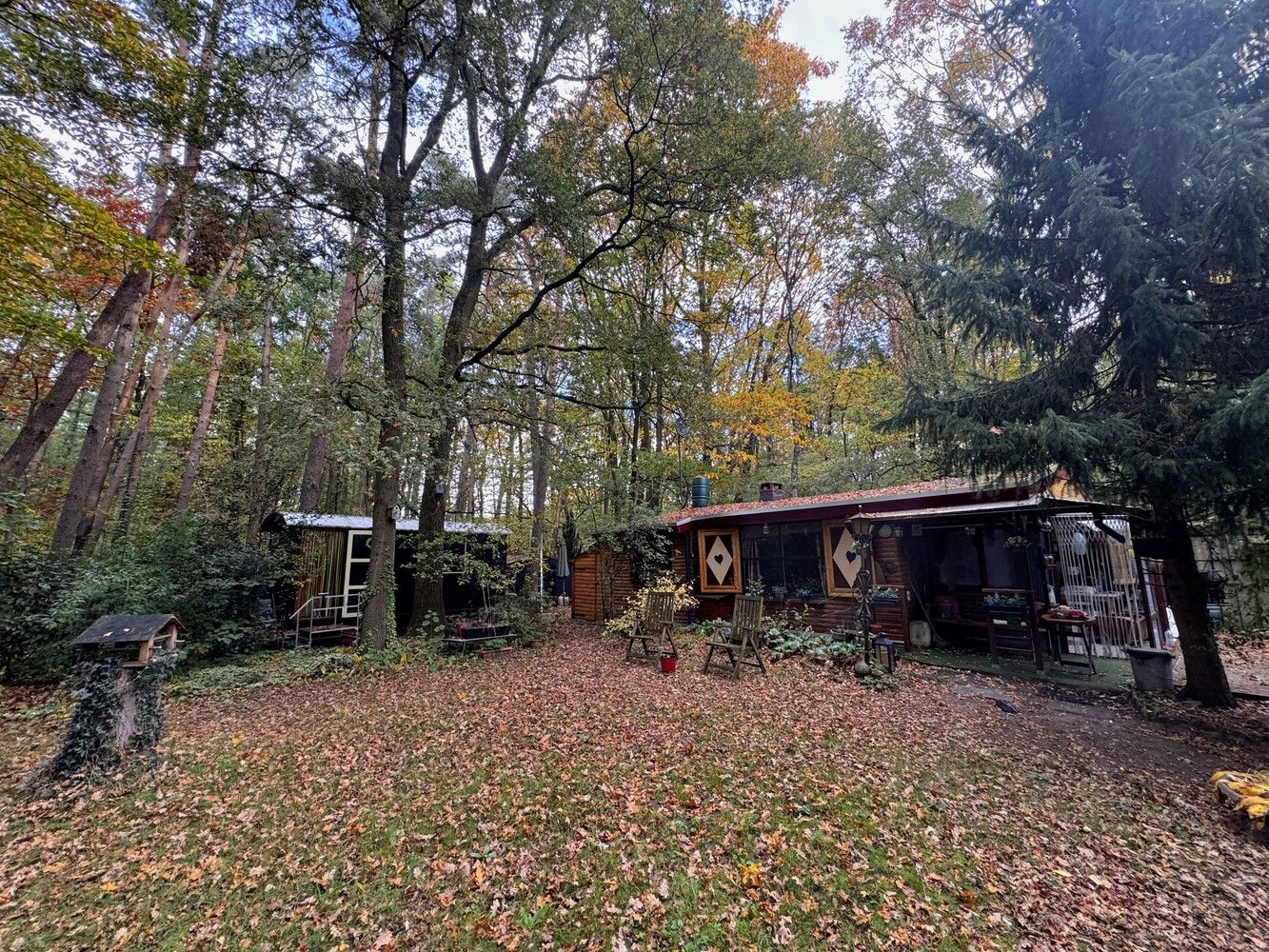 🏡 Knusse chalet met pipowagen te koop in het groen van Zutendaal 🌿✨ foto 19