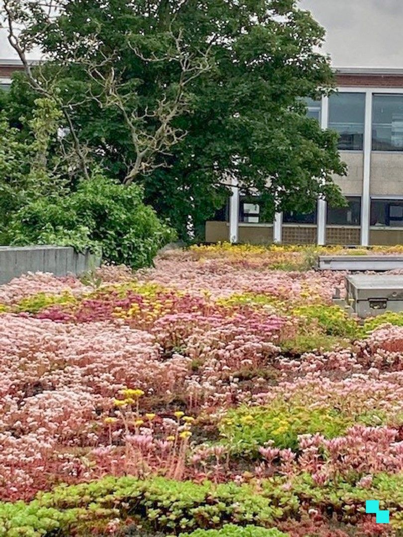 Lichtrijk tweeslaapkamer appartement te hartje Izegem foto 31