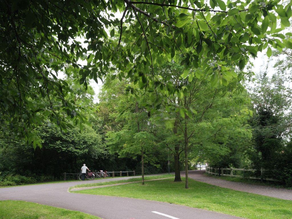 Lichtrijk duplexappartement nabij het Rozebroekenpark foto 7