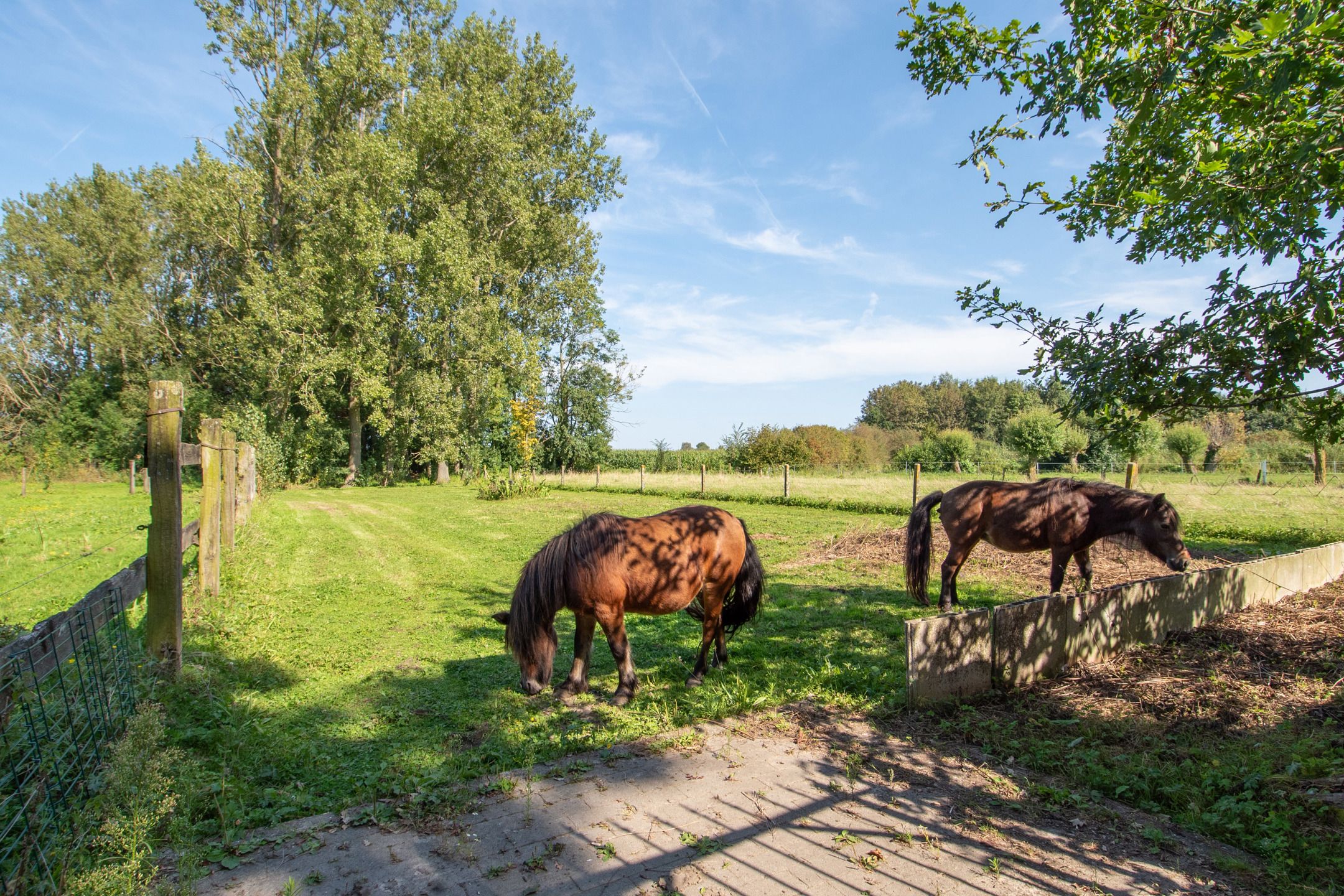 Charmante te renoveren hoeve op 11.690m² met unieke ligging! foto 25