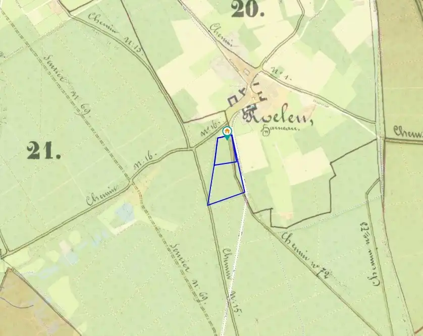 Uniek natuur- en bosperceel in de Roeler-Heide te Zutendaal foto 6