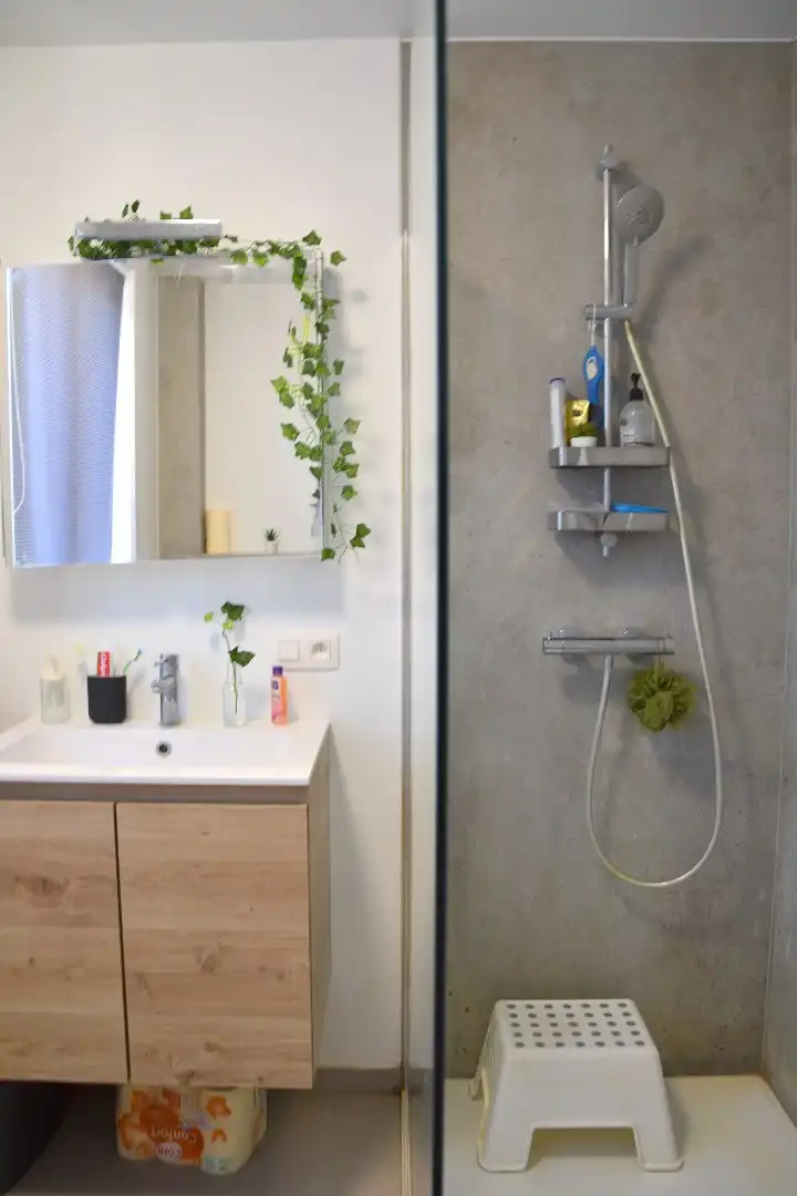 Investeringseigendom te koop in Gullegem-centrum foto 2