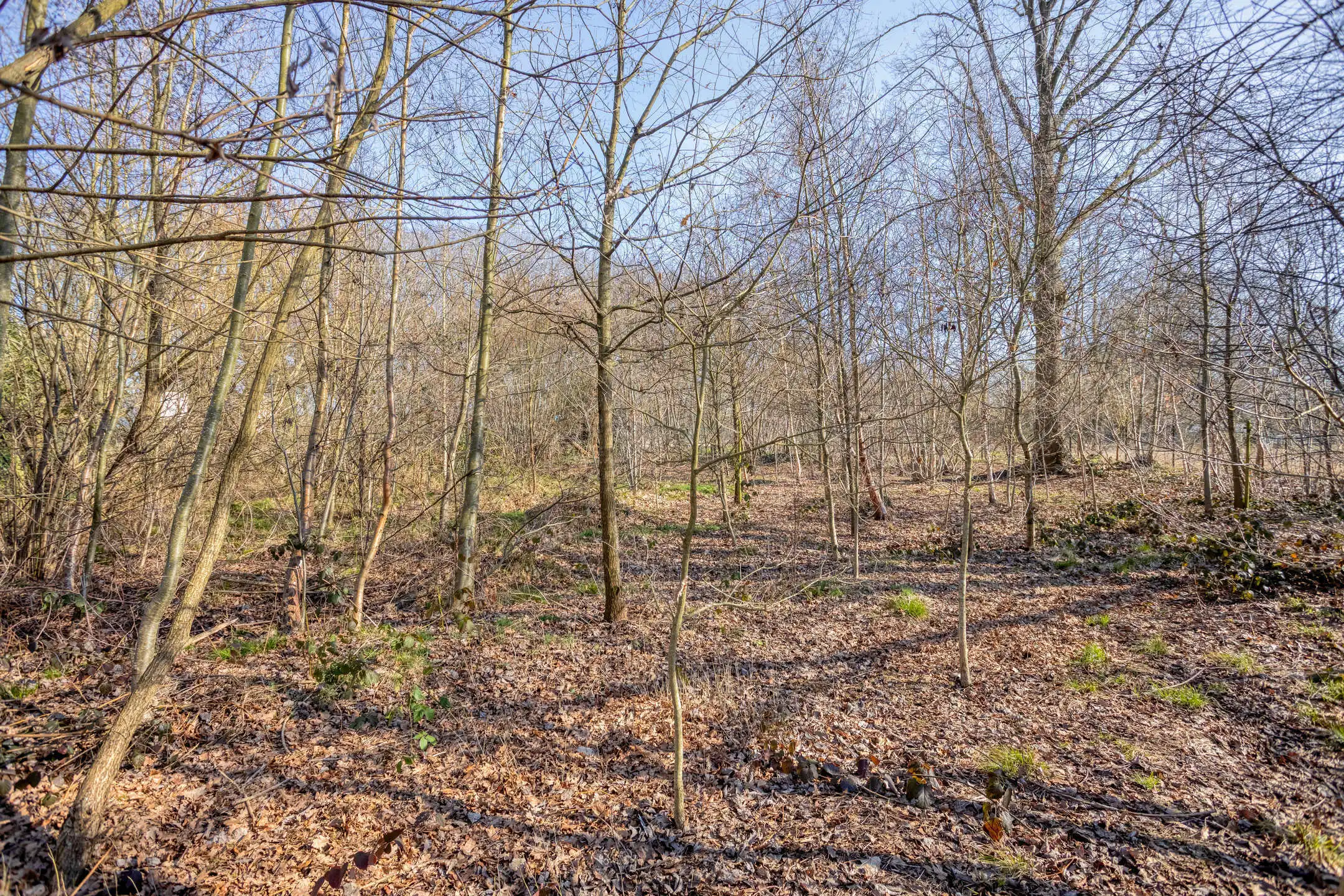 Vrijstaande, zeer ruime woning op topligging in Begijnendijk foto 25