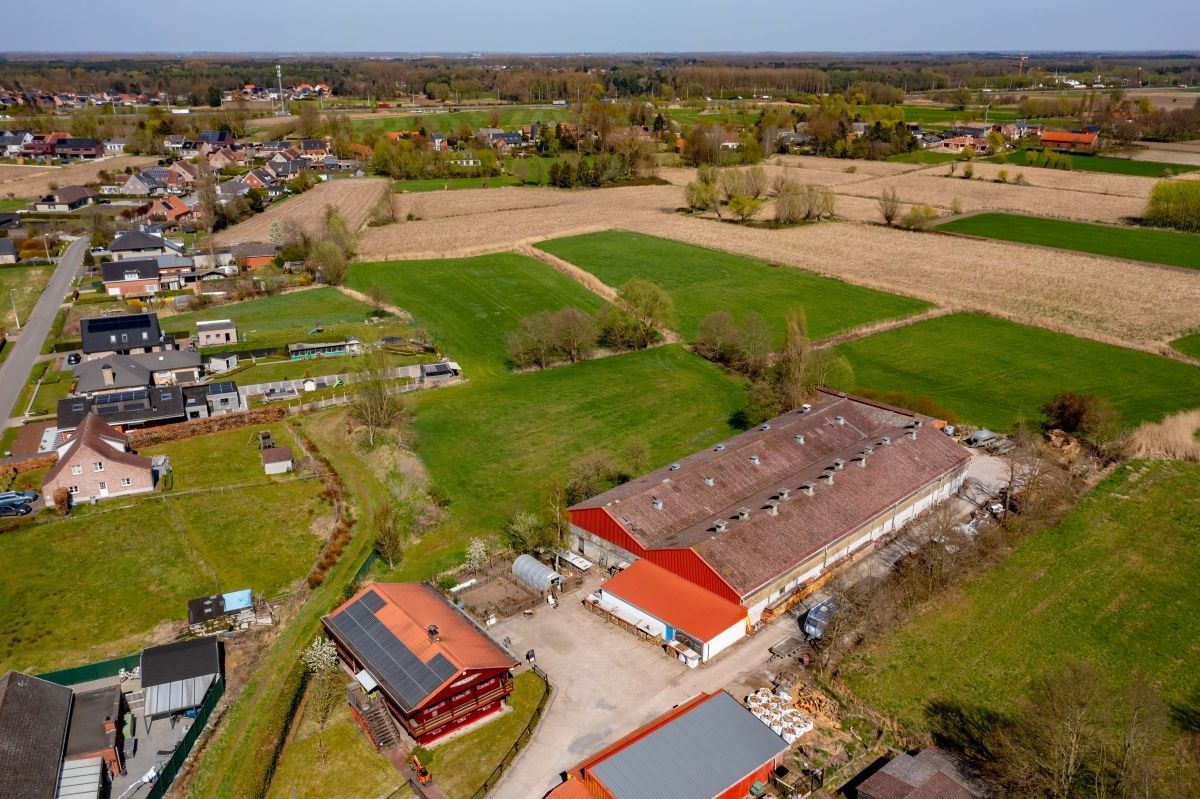 Hoeve met woning, ruime stallen en aanpalende grond te koop te Stekene. foto 2