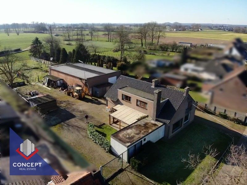 Loods van 300m² met ruime woning op perceel van 28a40ca foto 4