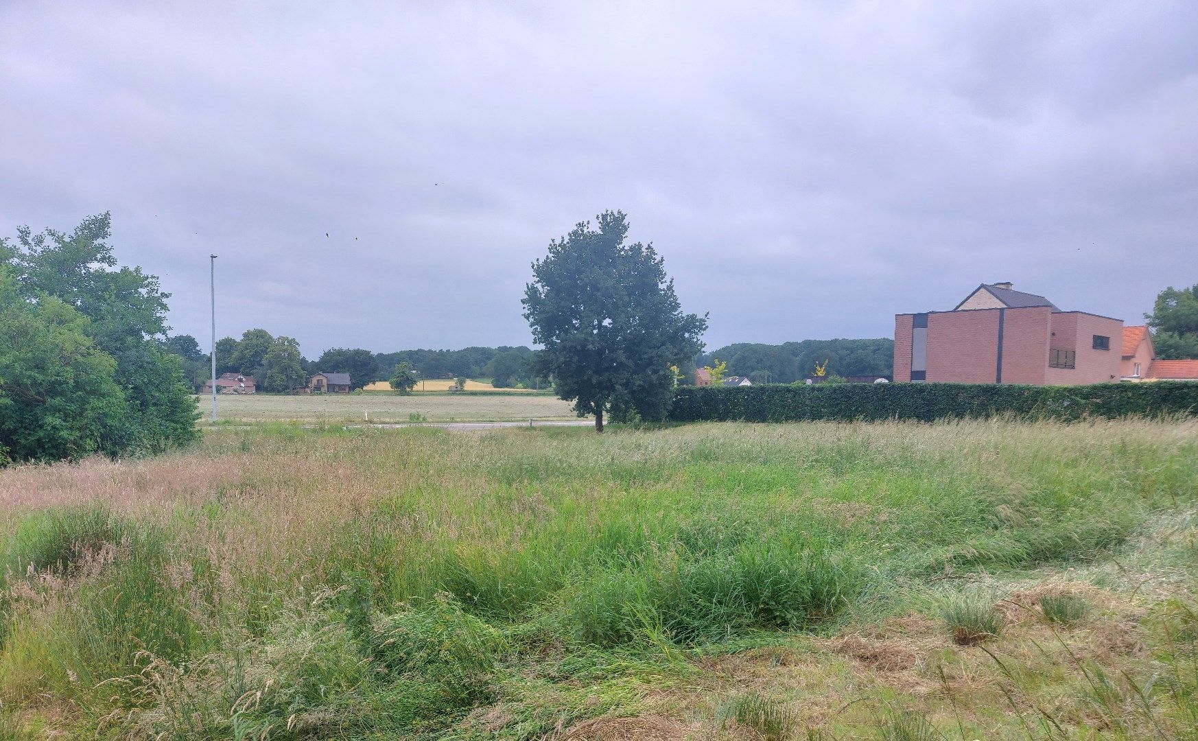Prachtige bouwgrond met weiland te koop! foto 3