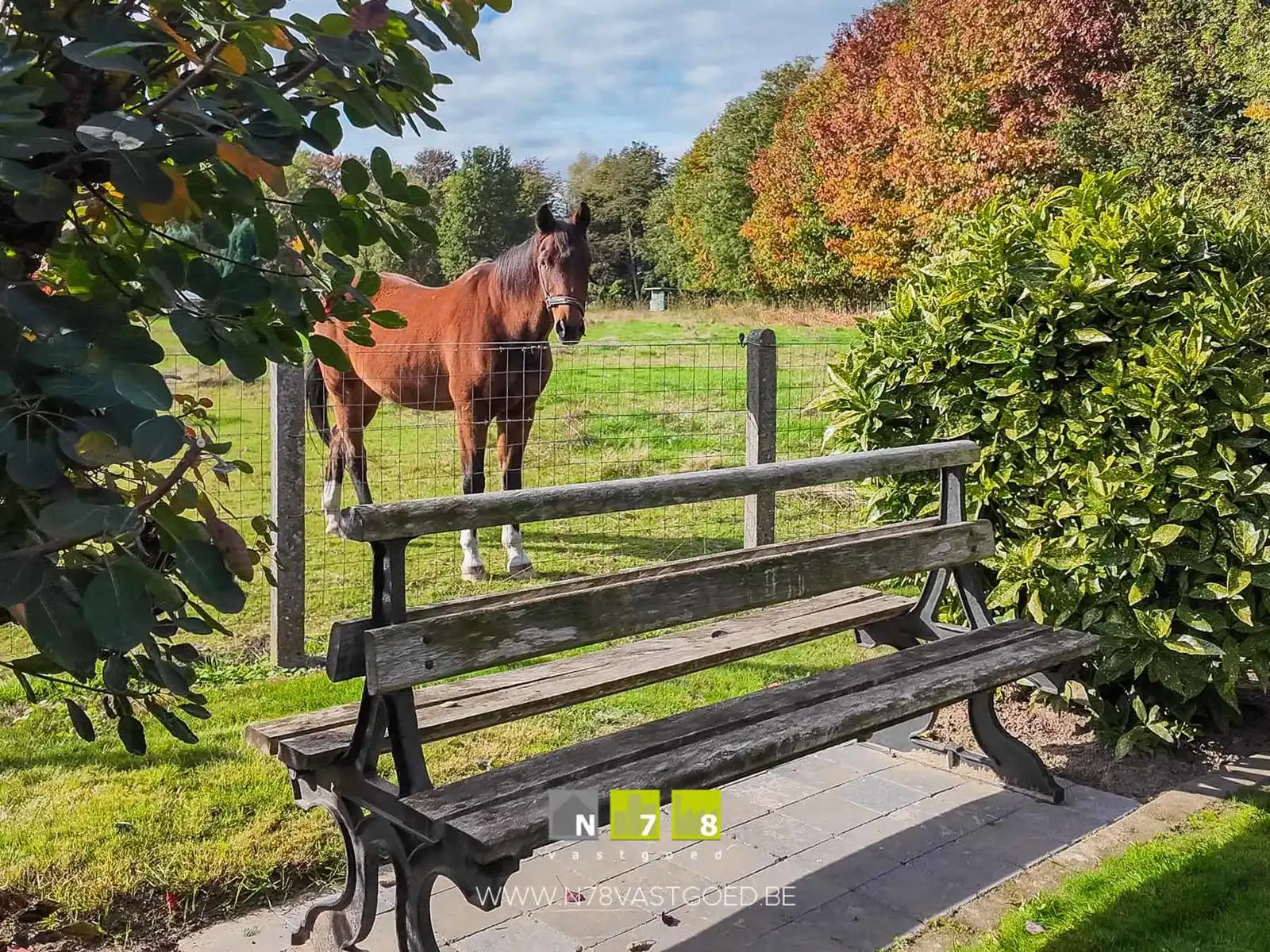 VRIJSTAANDE WONING MET EEN PRACHTIGE BUITENBELEVING foto 42