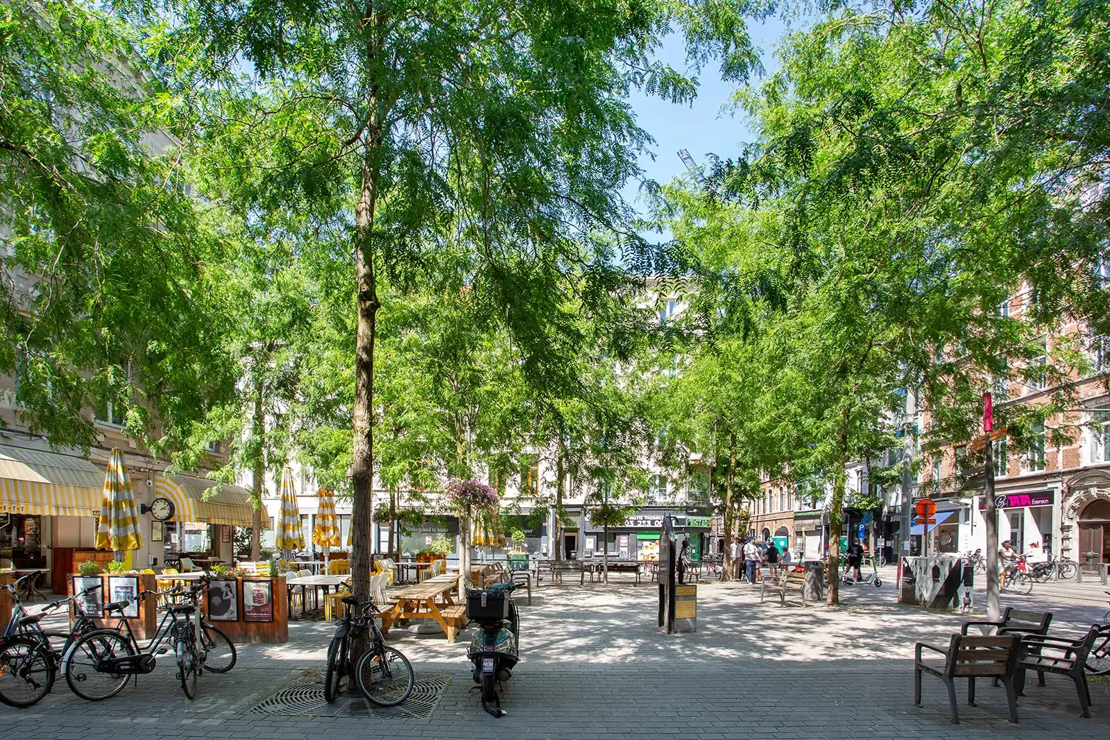Een zonnige thuis in hartje Antwerpen foto 17