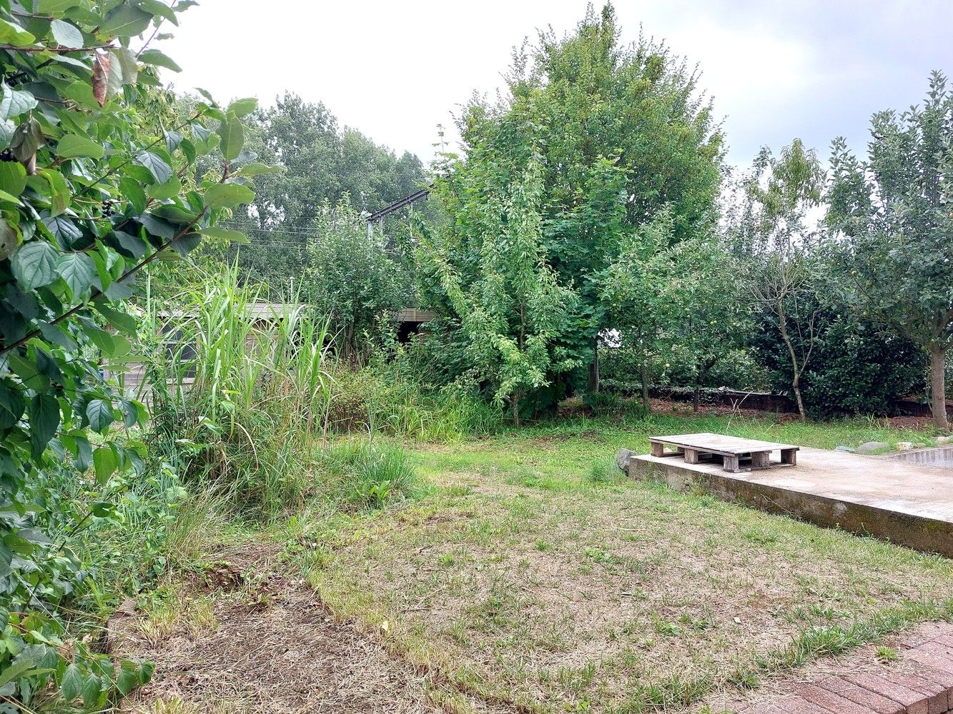 Ruime woning in Leuvense stadsrand // 5 slaapkamers // 2 badkamers //groene tuin // parking foto 38