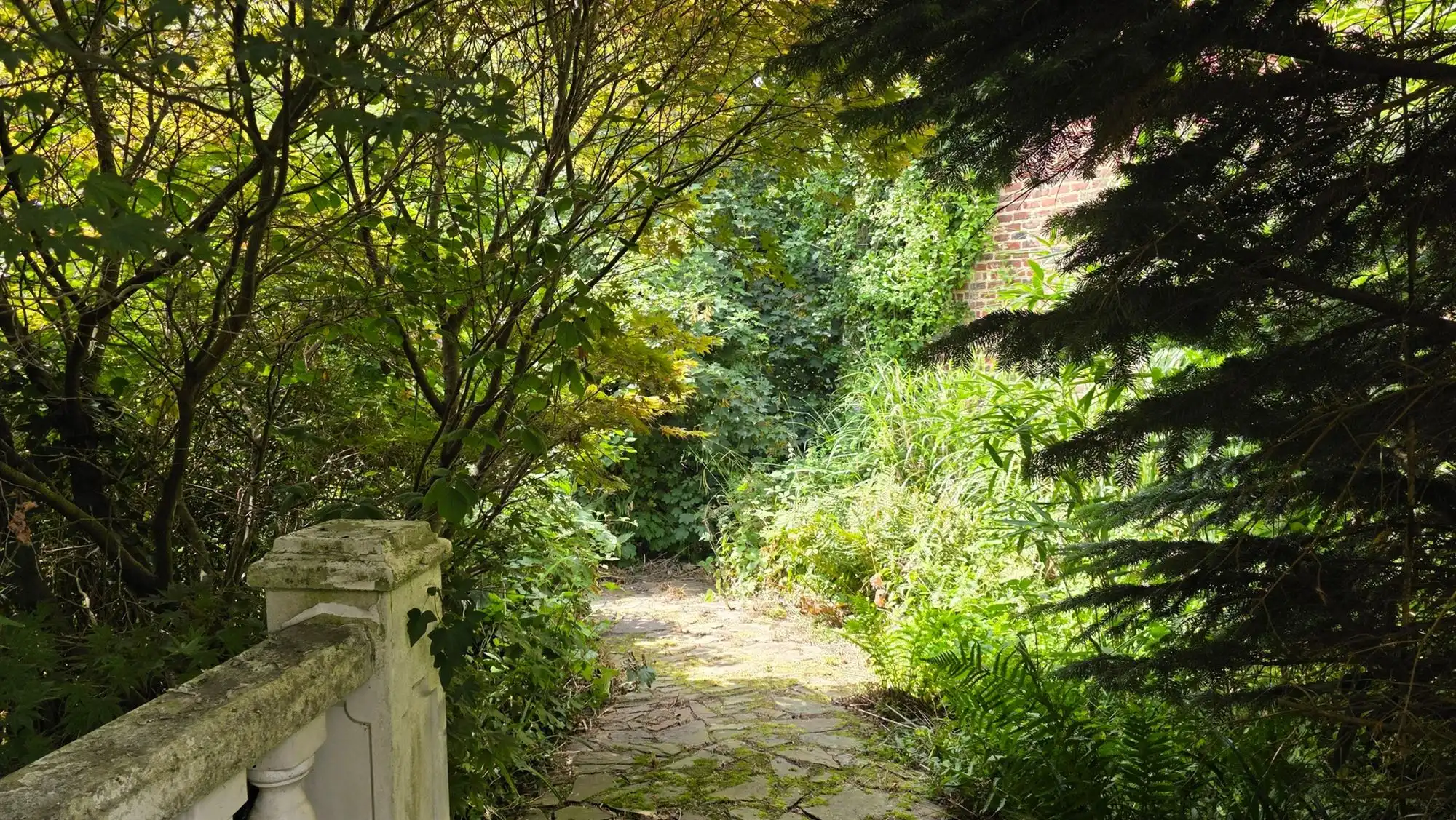 Ruime villa foto 26
