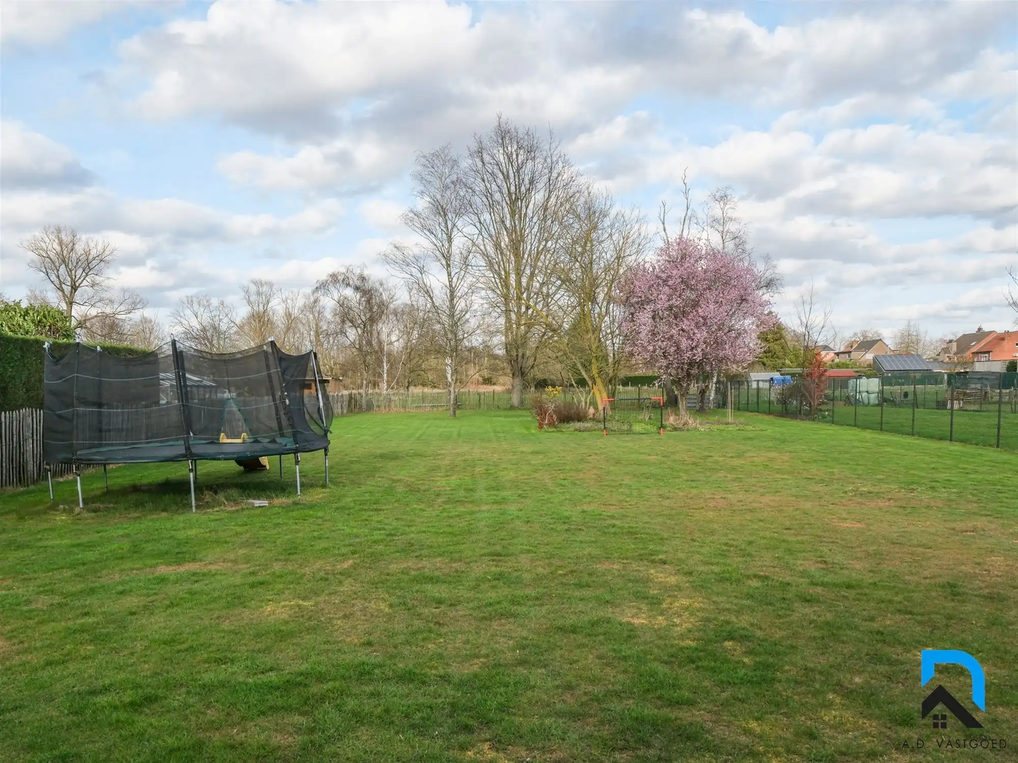 Halfopen bebouwing in Diepenbeek op ruim perceel foto 3