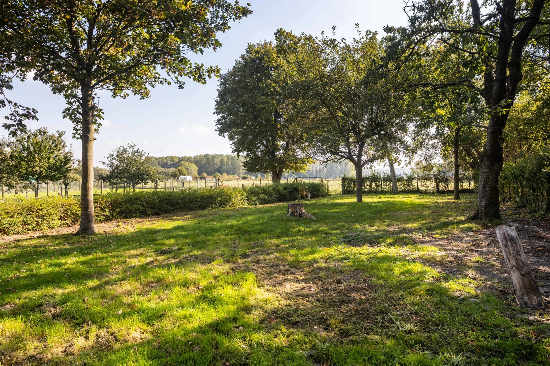 Veelzijdige (dubbele) woning met loods op ruim perceel foto 17