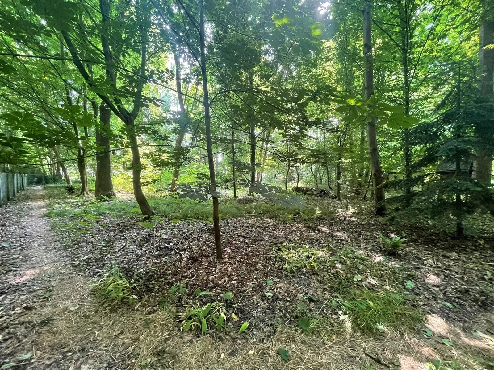 Villa met bos en extra bouwgrond op  foto {{pictureIndex}}