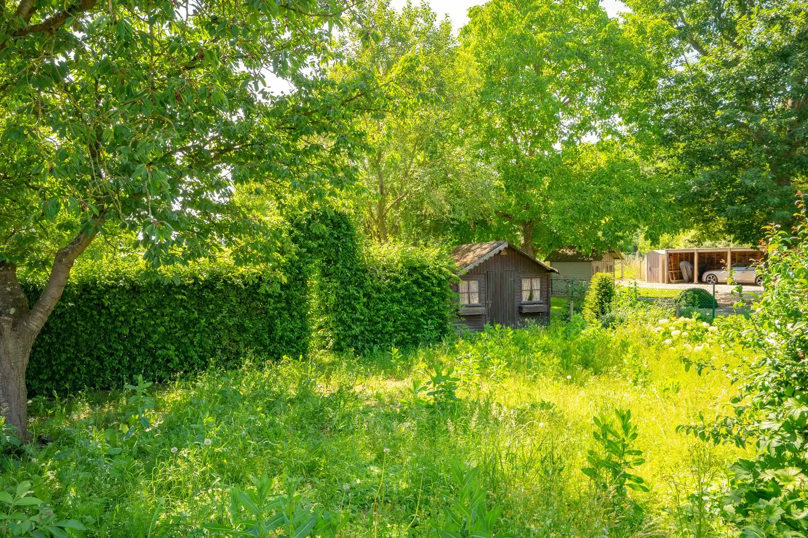 Ruime open bebouwing met 3 slaapkamers in een zeer rustige omgeving te Ezemaal (Landen) foto 21