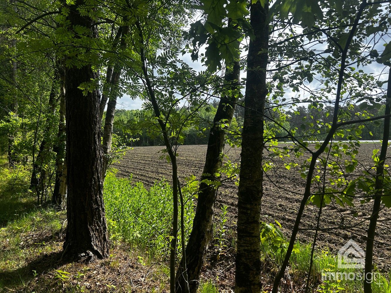 Uniek stukje natuurgebied van 1.470 m² gelegen te Hamont-Achel! foto 12